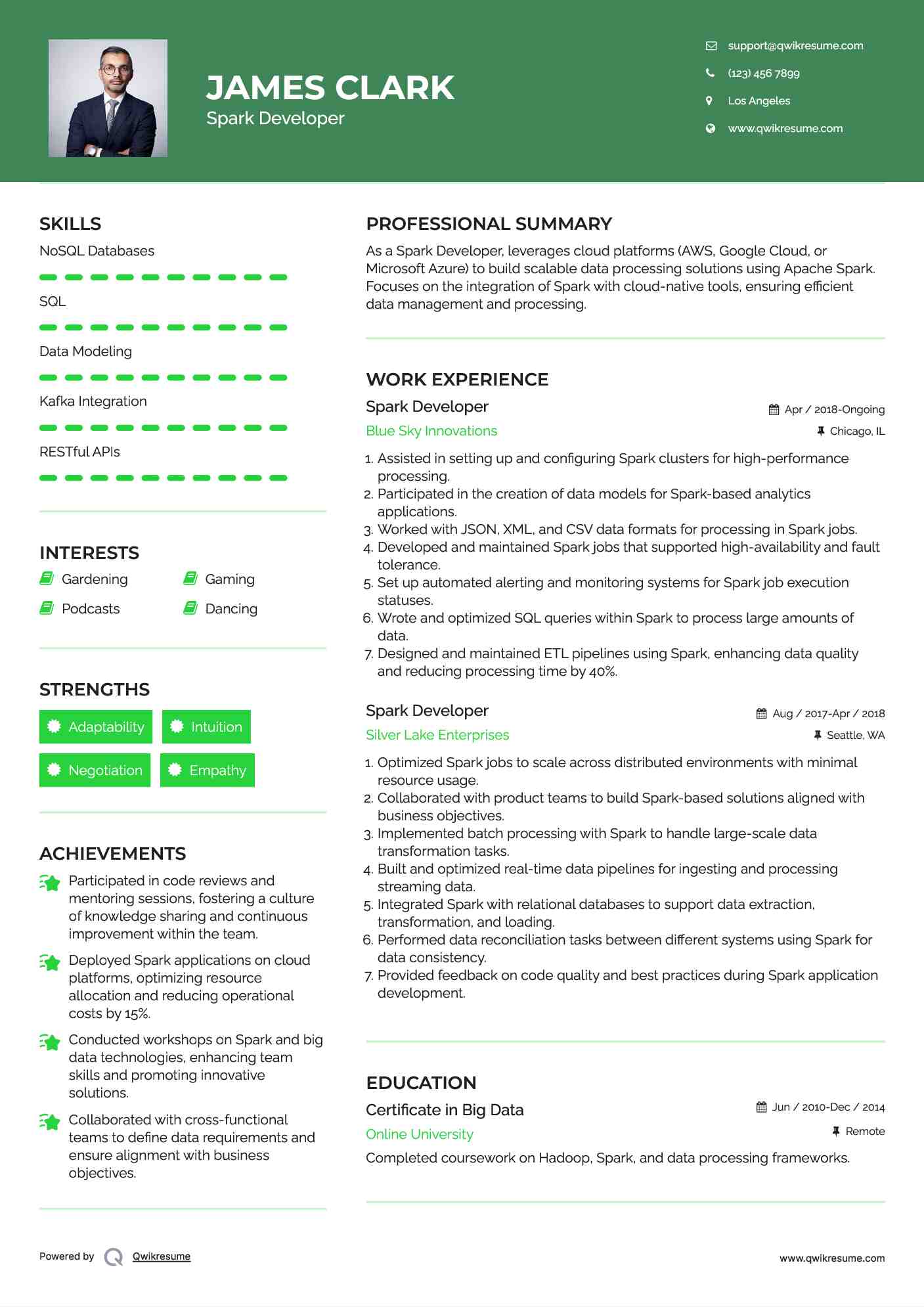 Spark Developer Resume Template
