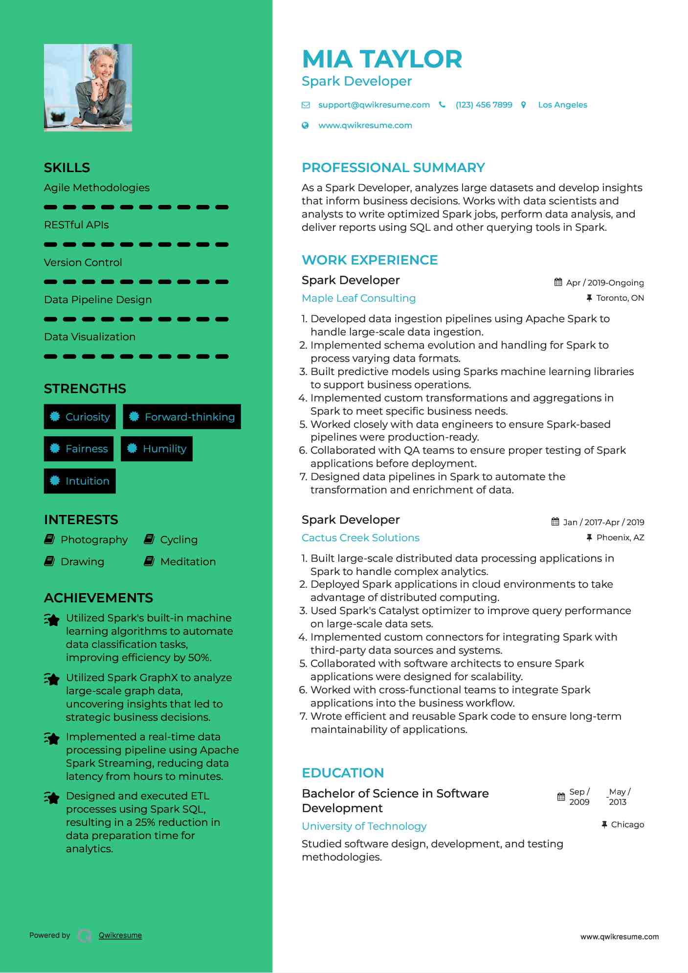 Spark Developer Resume Template
