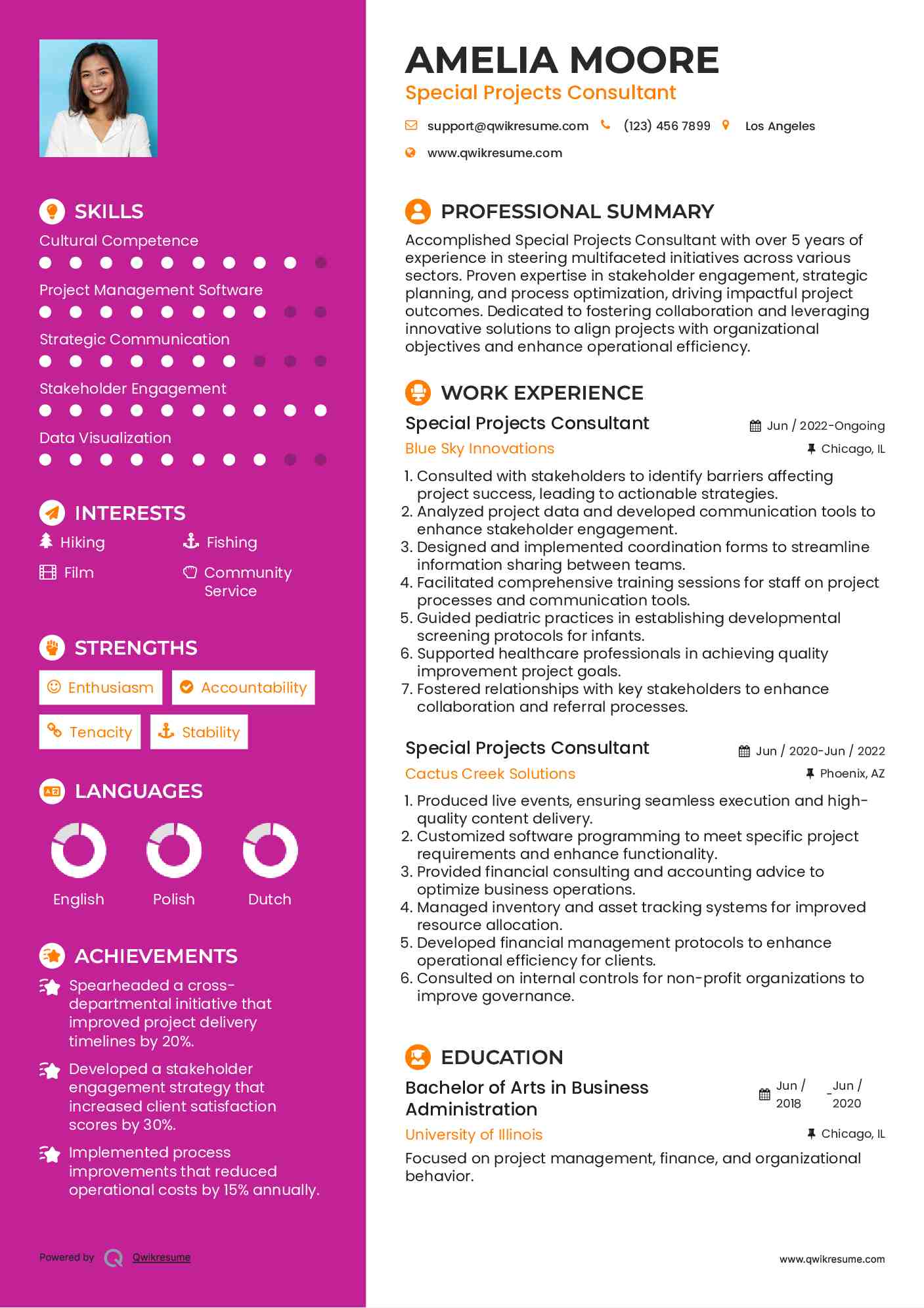 Special Projects Consultant Resume Example