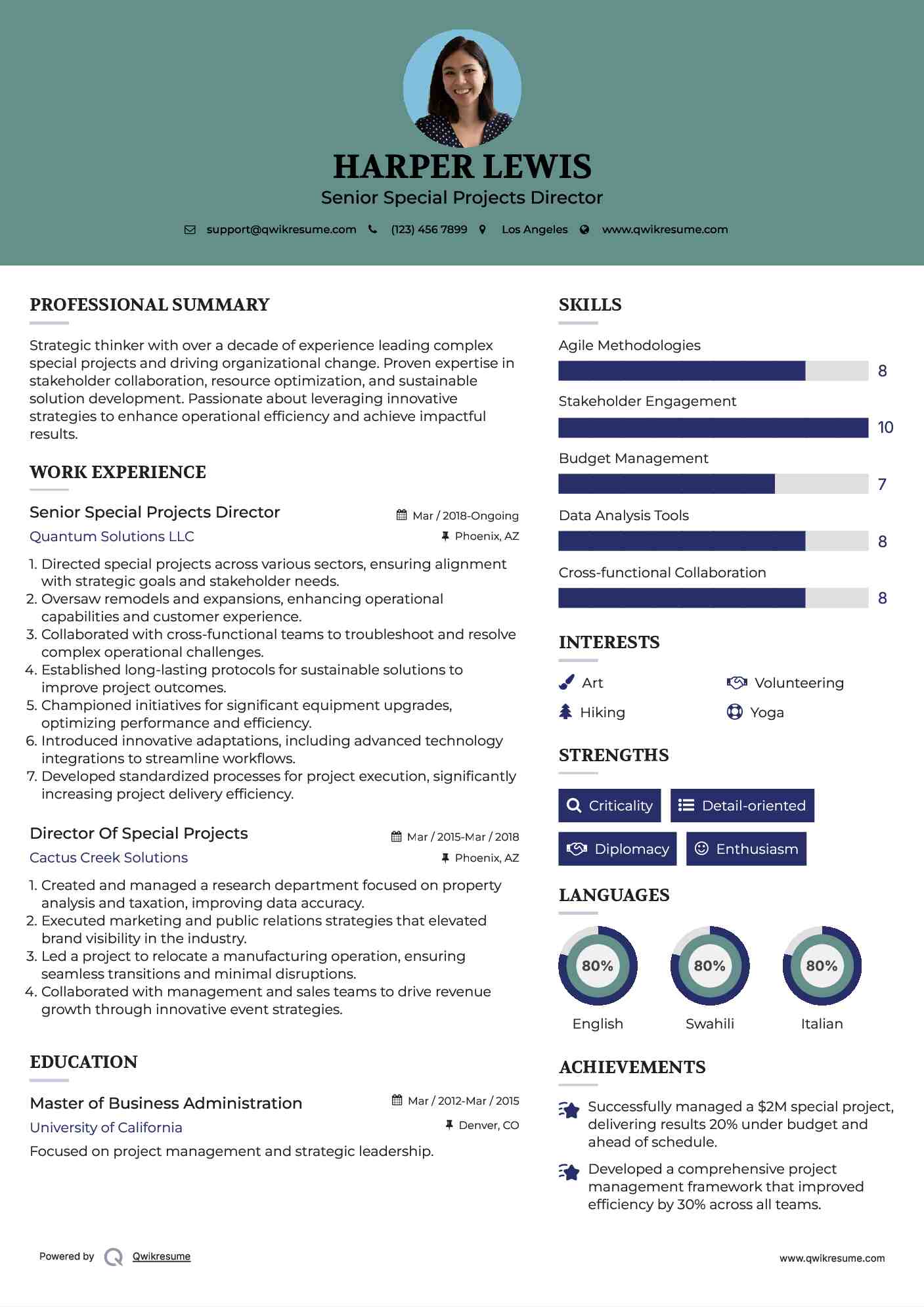 Senior Special Projects Director Resume Example