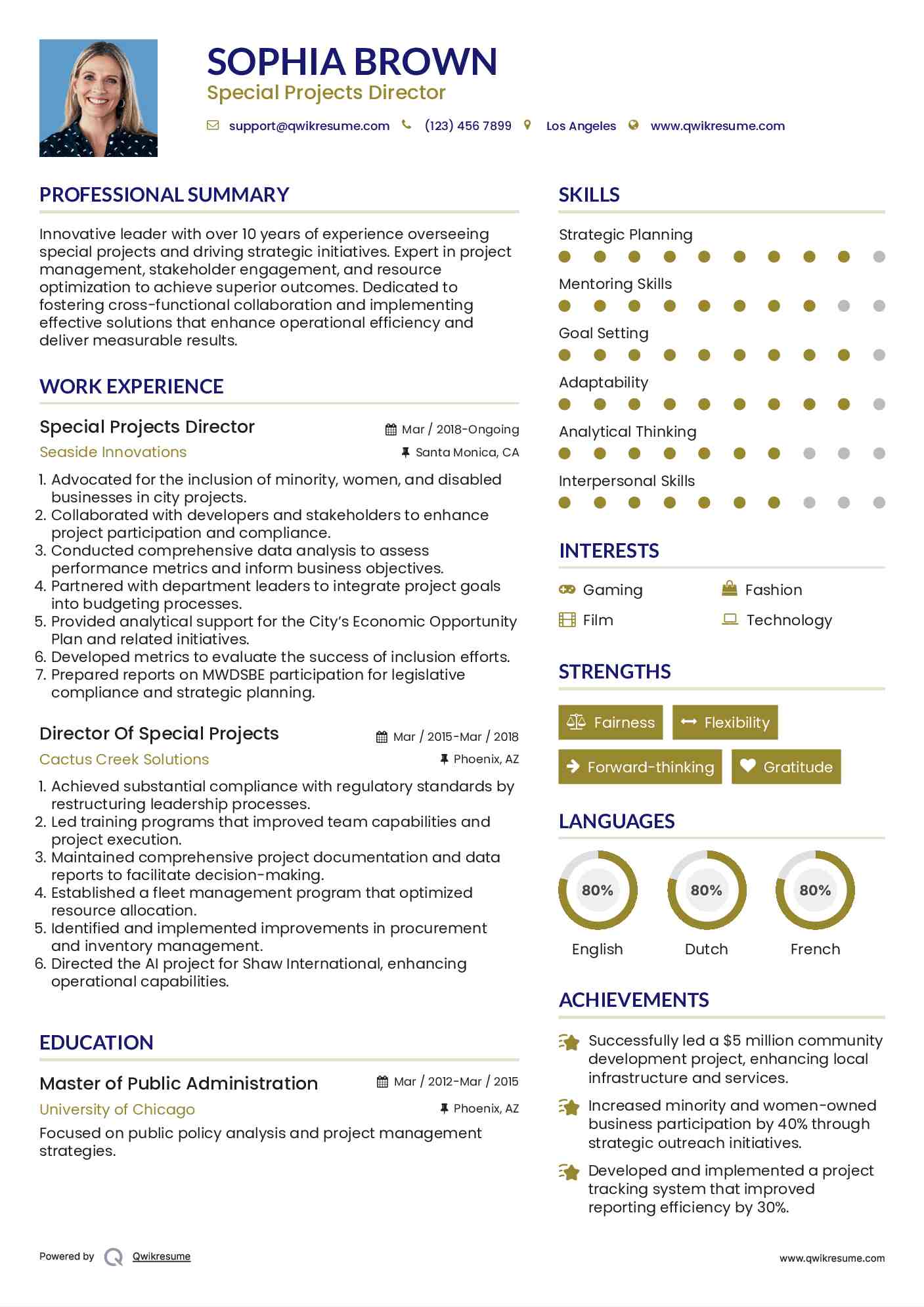 Special Projects Director Resume Model