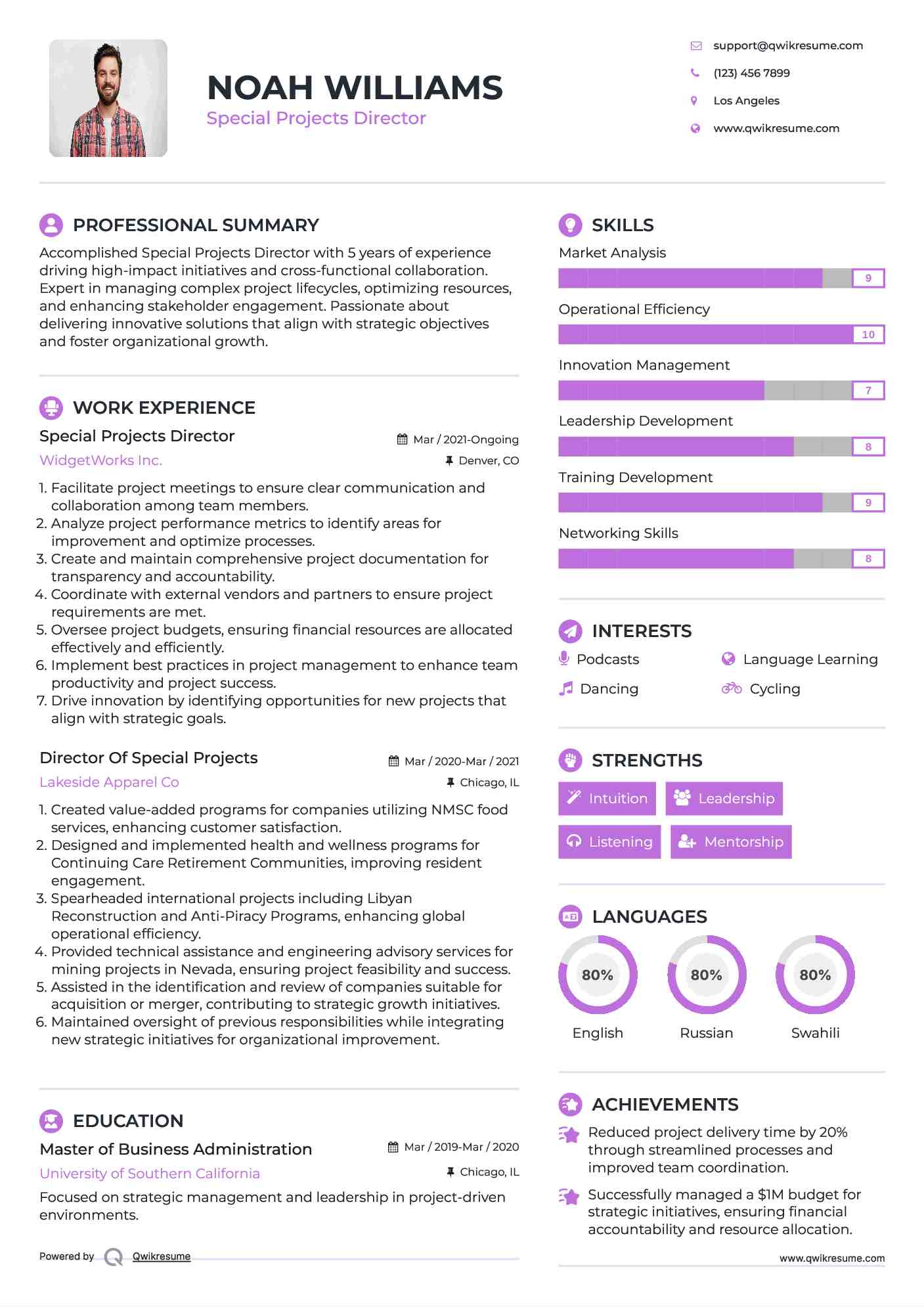 Special Projects Director Resume Example