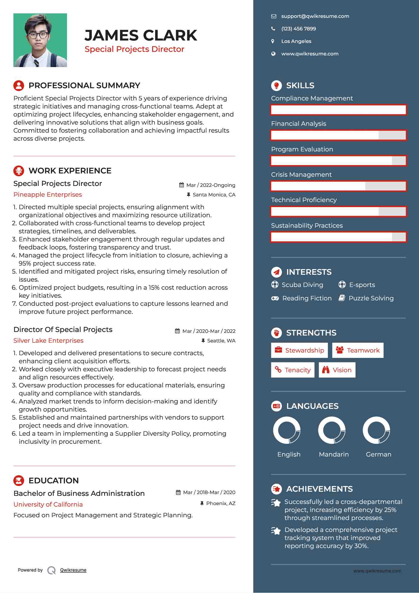 Special Projects Director Resume Example