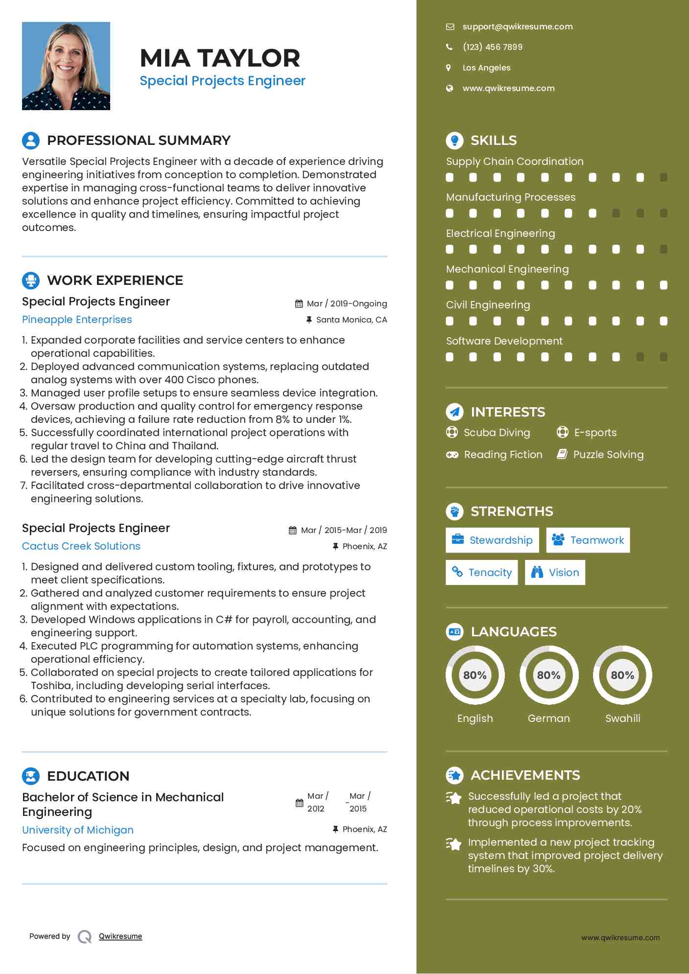 Special Projects Engineer Resume Sample