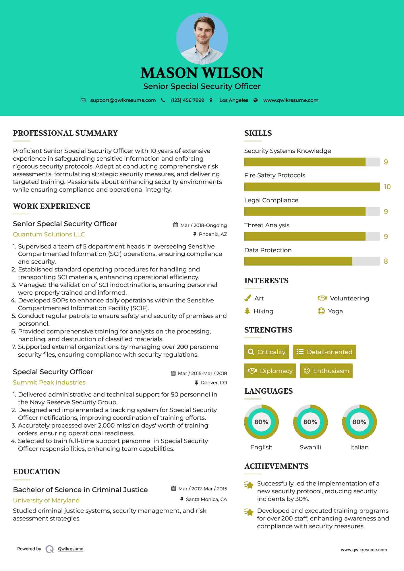 Senior Special Security Officer Resume Example