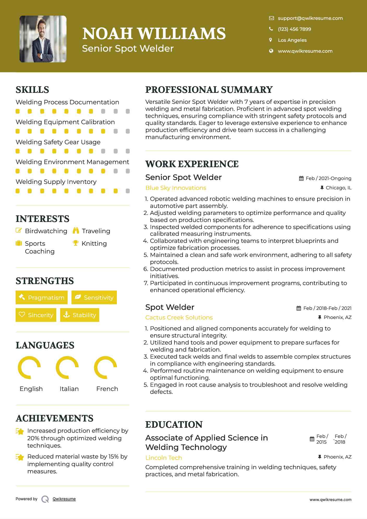 Senior Spot Welder Resume Template