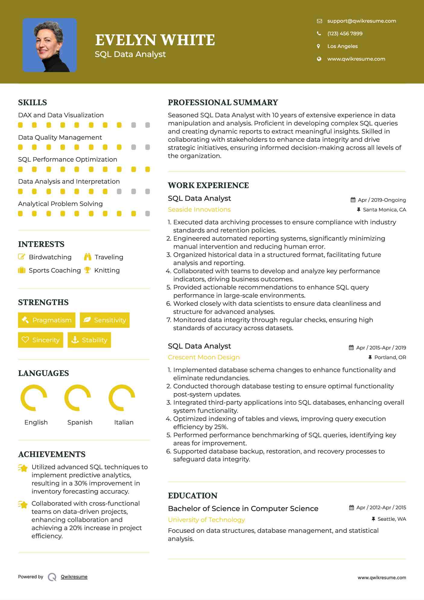 SQL Data Analyst Resume Example