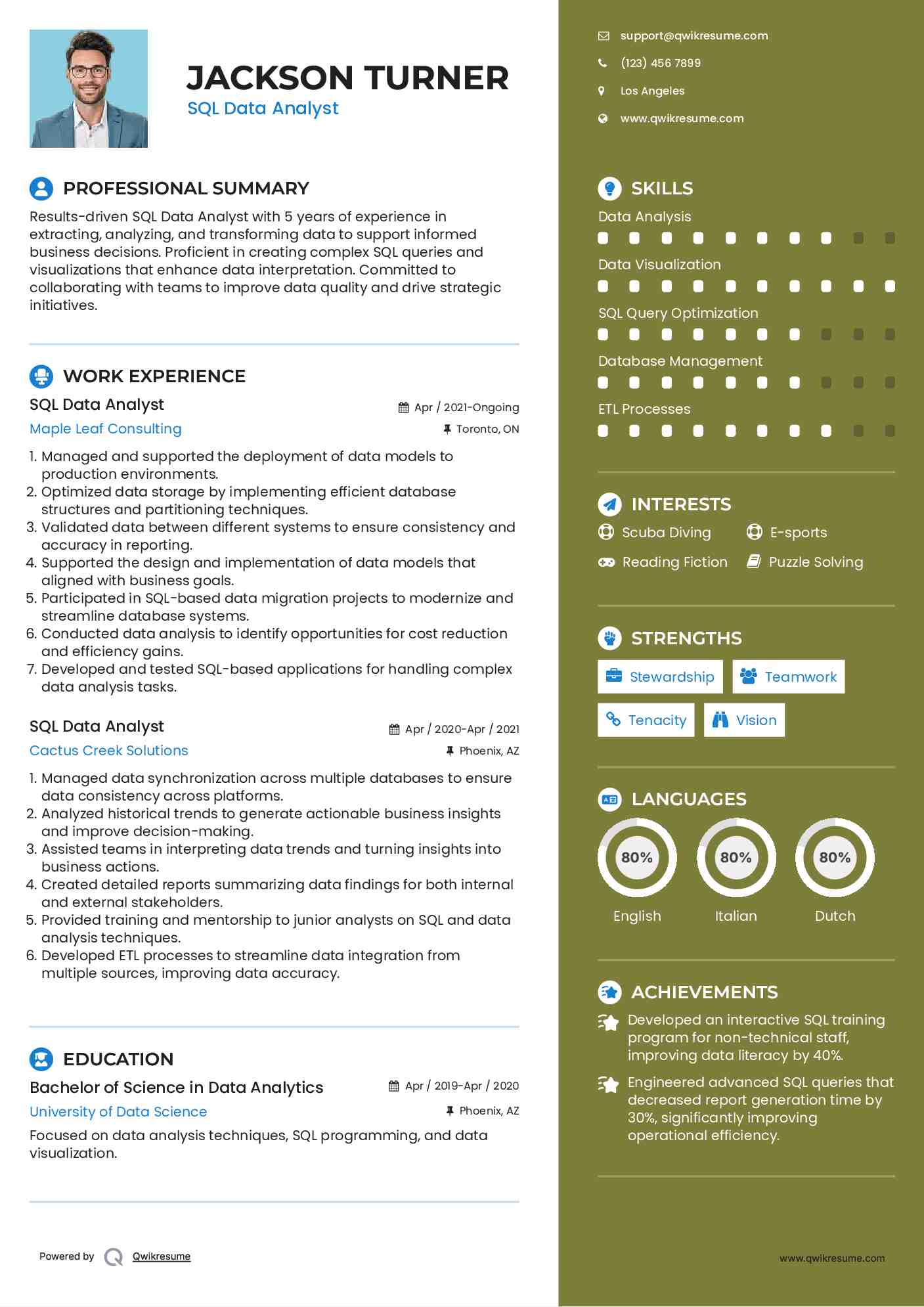 SQL Data Analyst Resume Sample