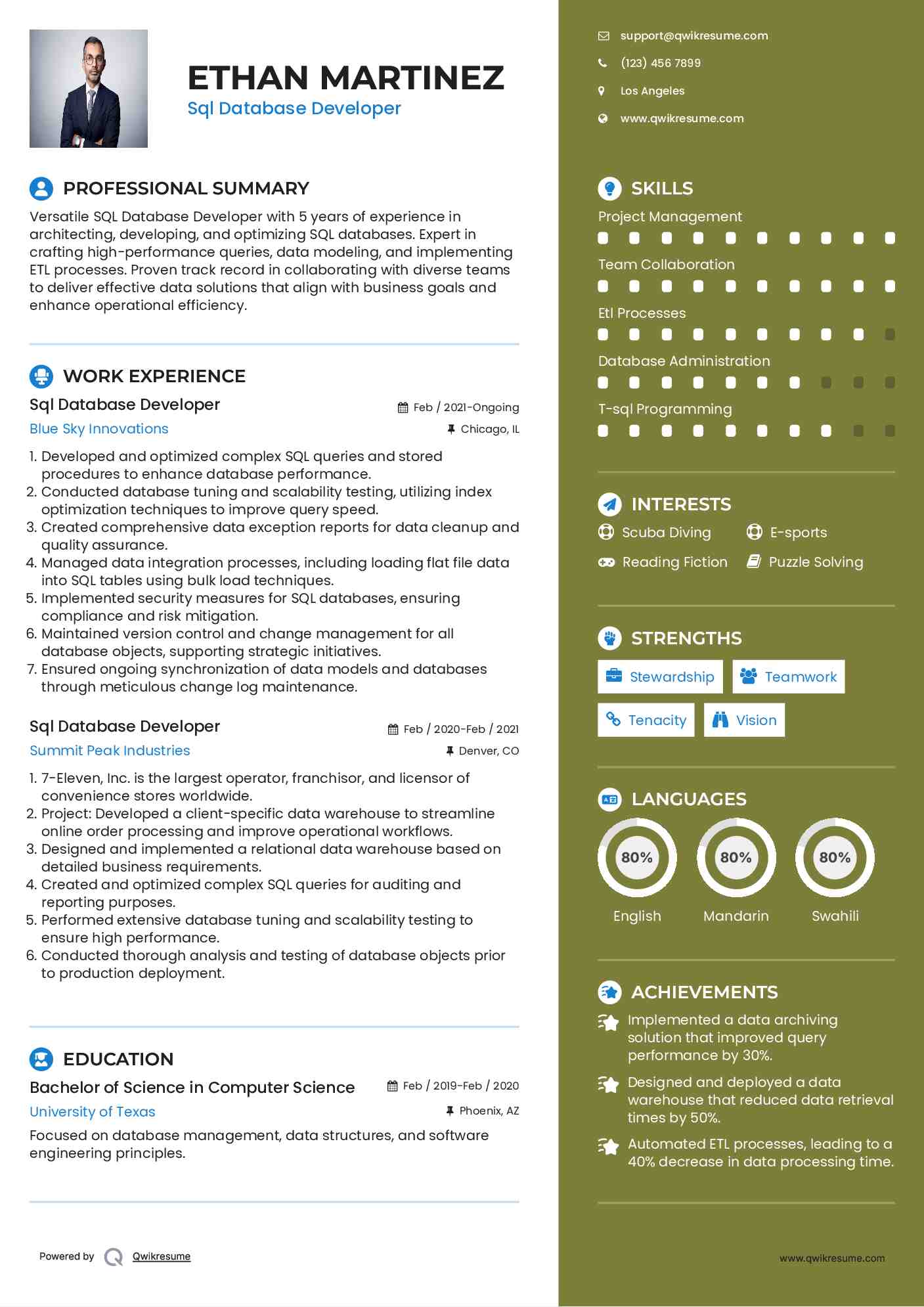 Sql Database Developer Resume Template