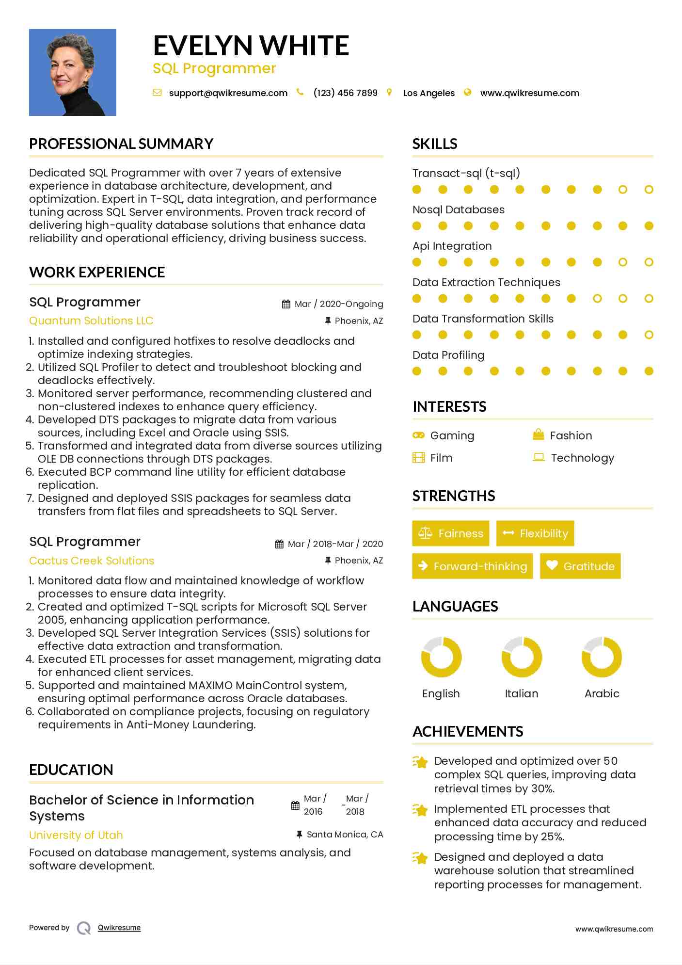 SQL Programmer Resume Format