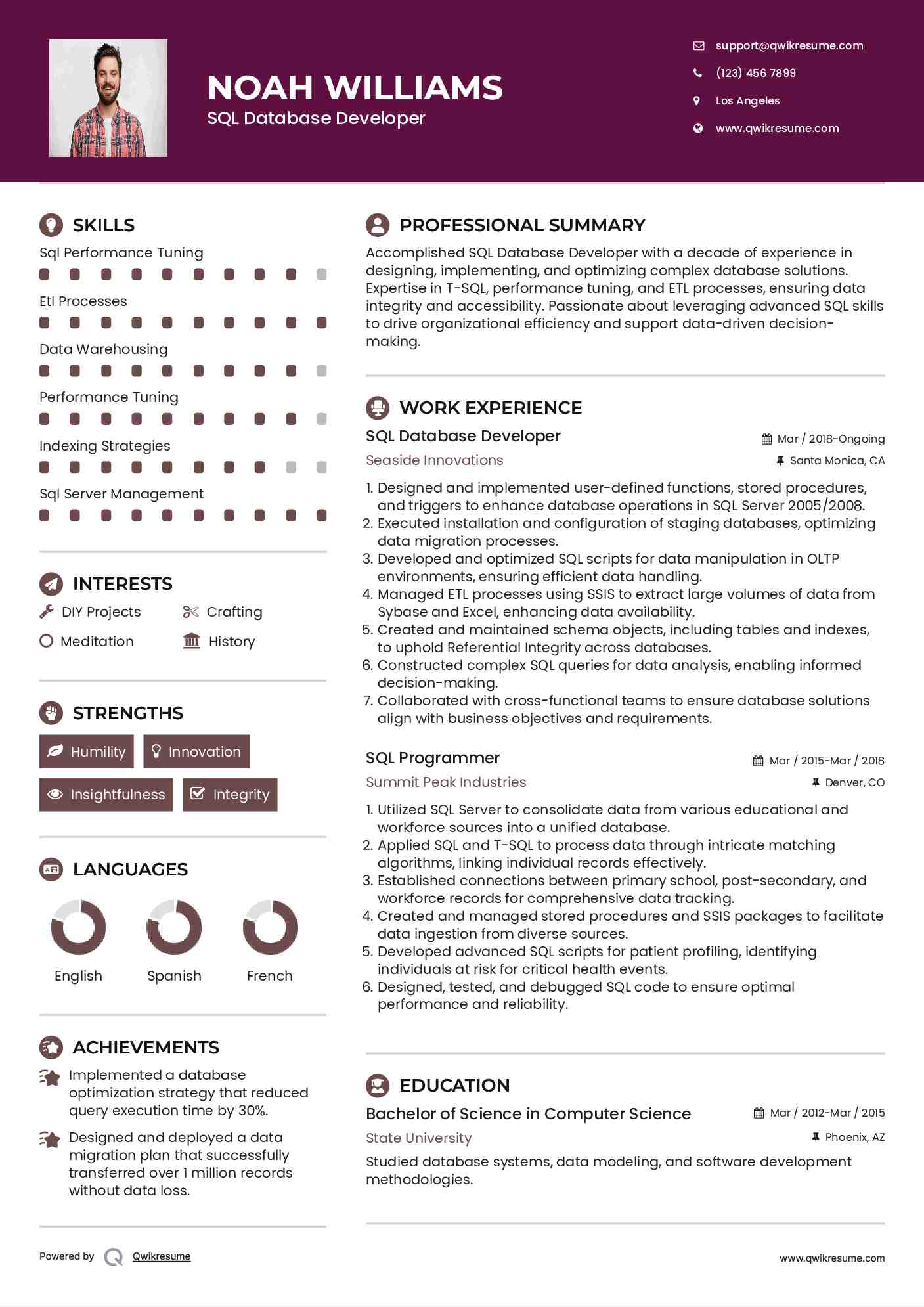 SQL Database Developer Resume Template