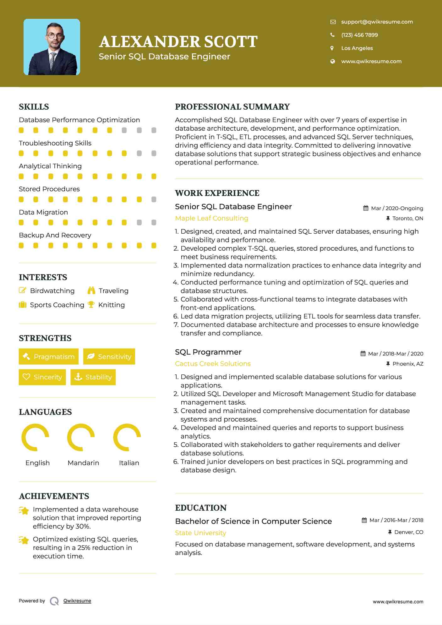 Senior SQL Database Engineer Resume Example