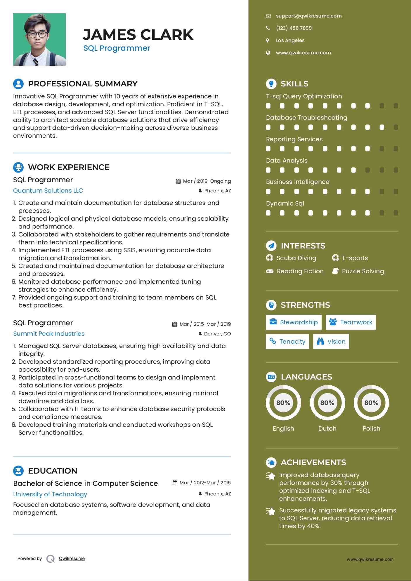 SQL Programmer Resume Model