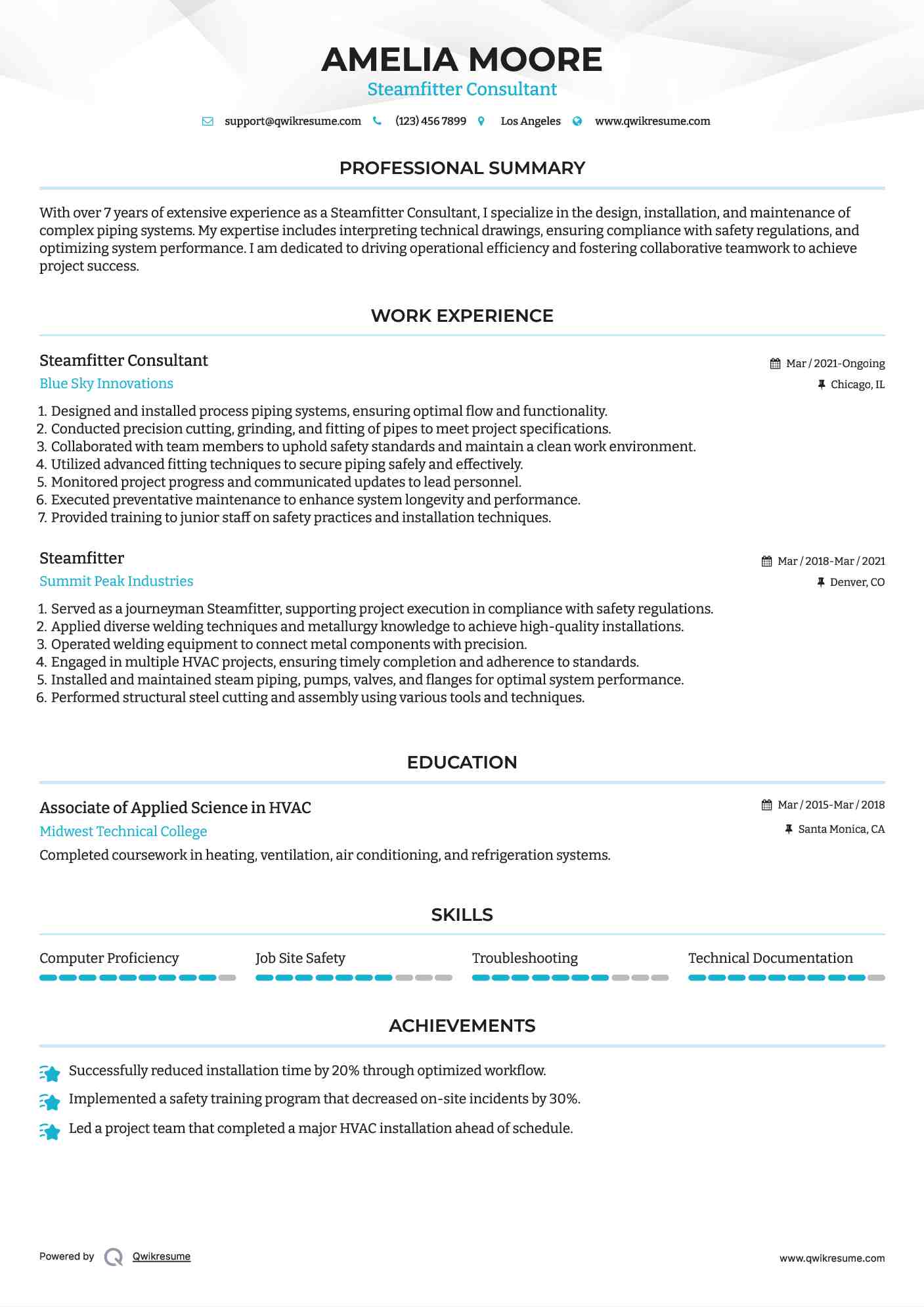 Steamfitter Consultant Resume Template