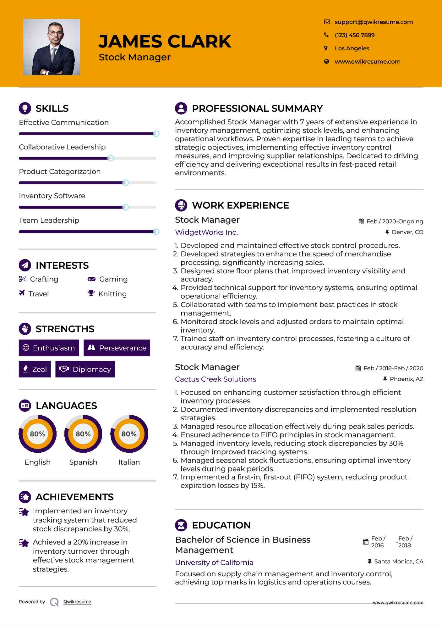 Stock Manager Resume Template