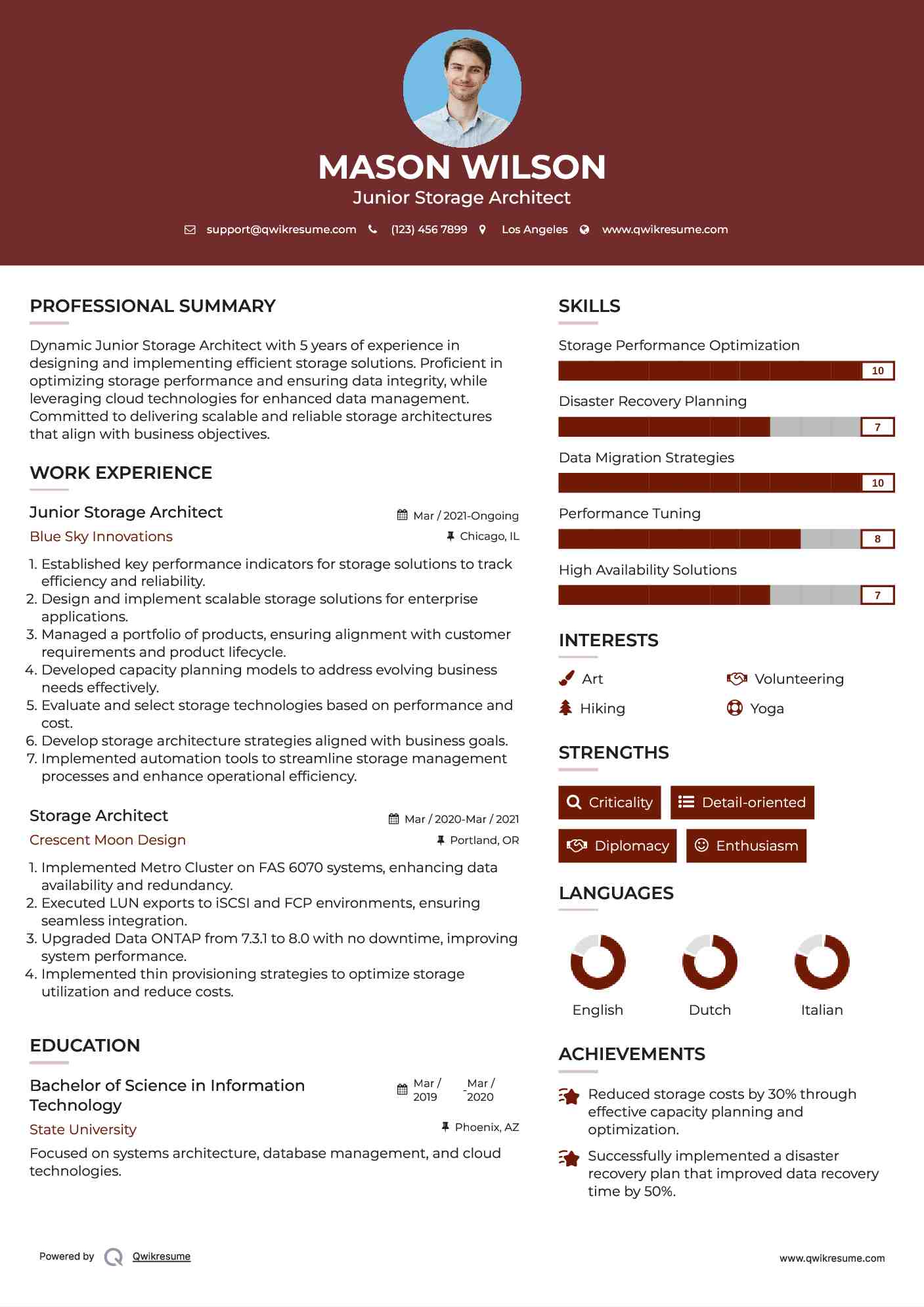 Junior Storage Architect Resume Example