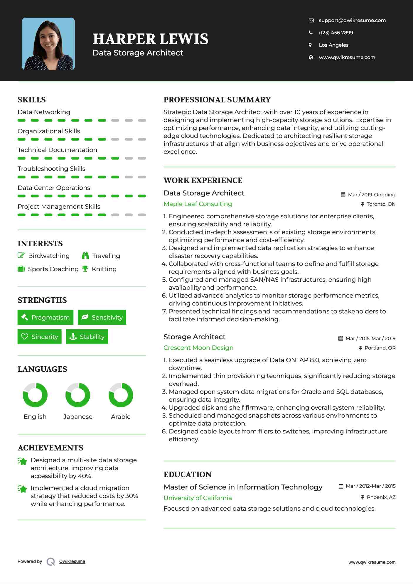 Data Storage Architect Resume Model