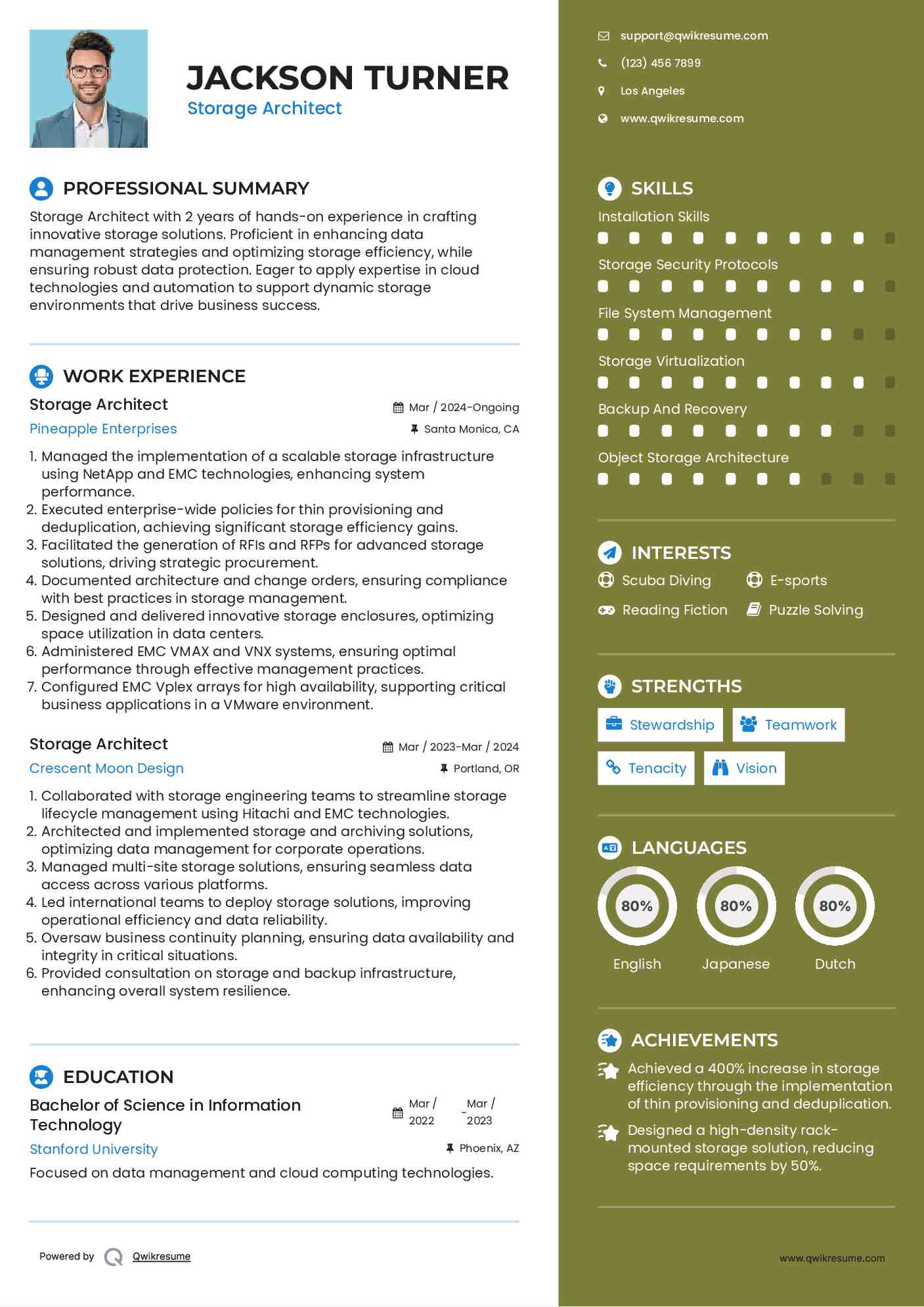 Storage Architect Resume Model