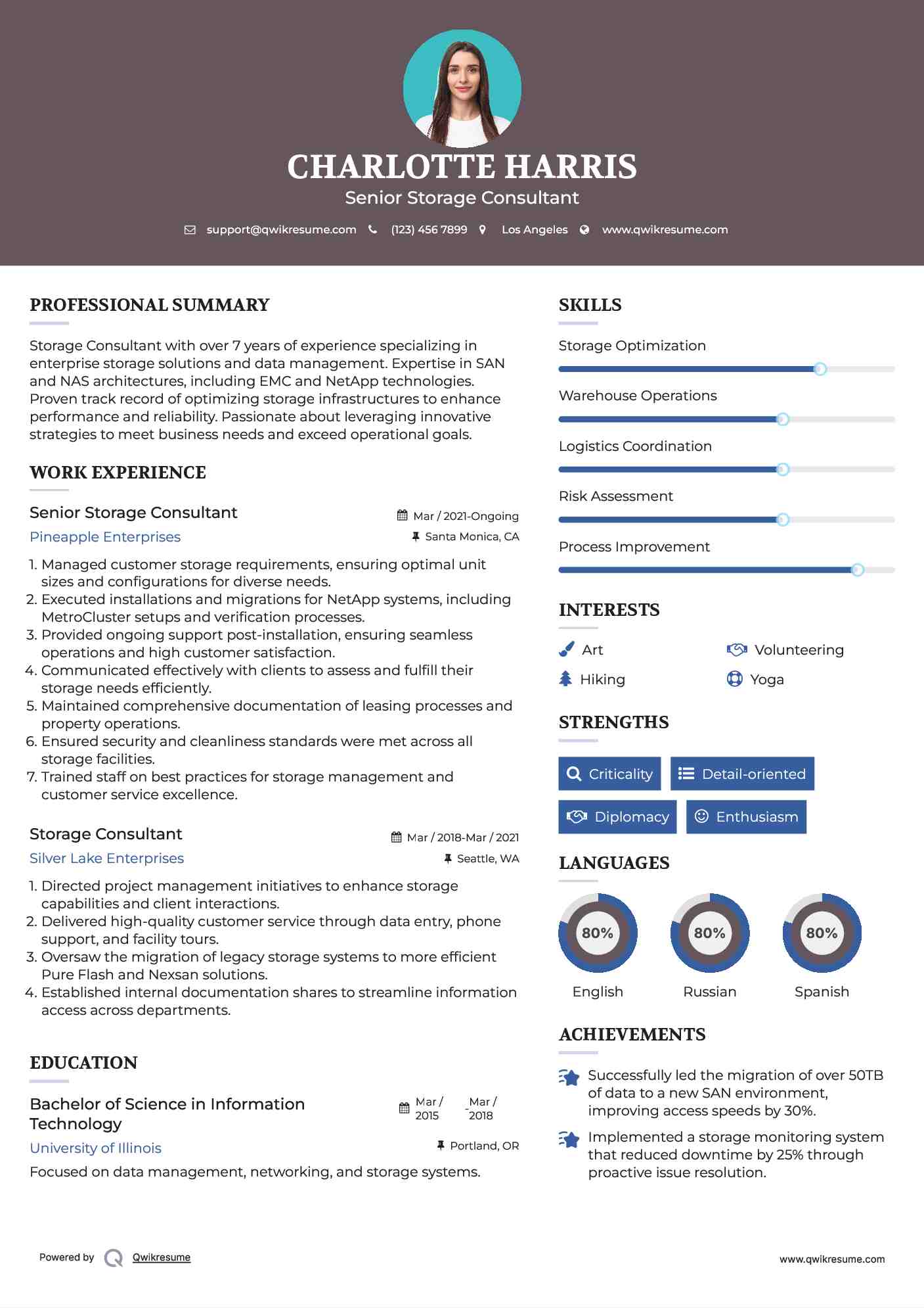 Senior Storage Consultant Resume Model