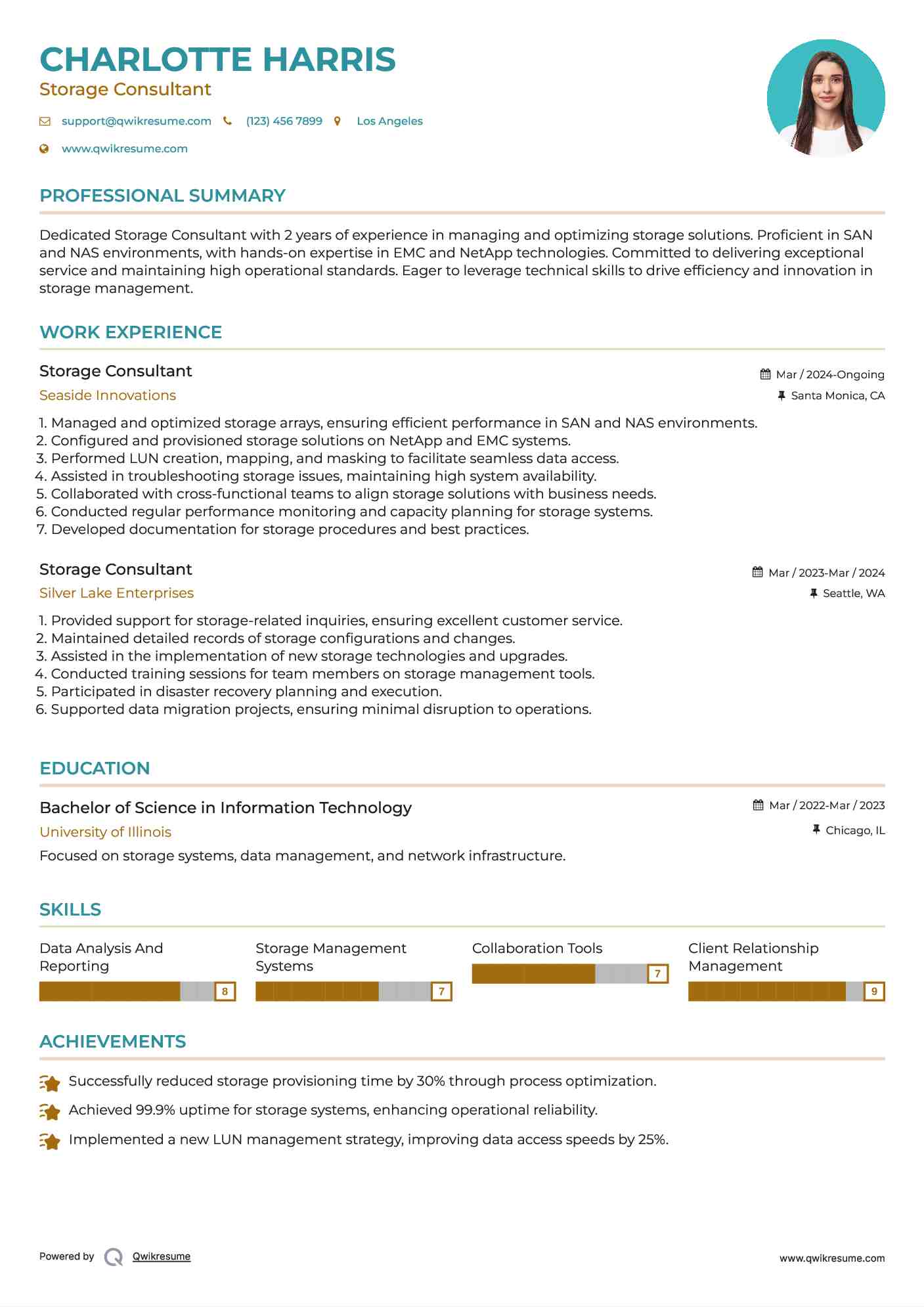 Storage Consultant Resume Template