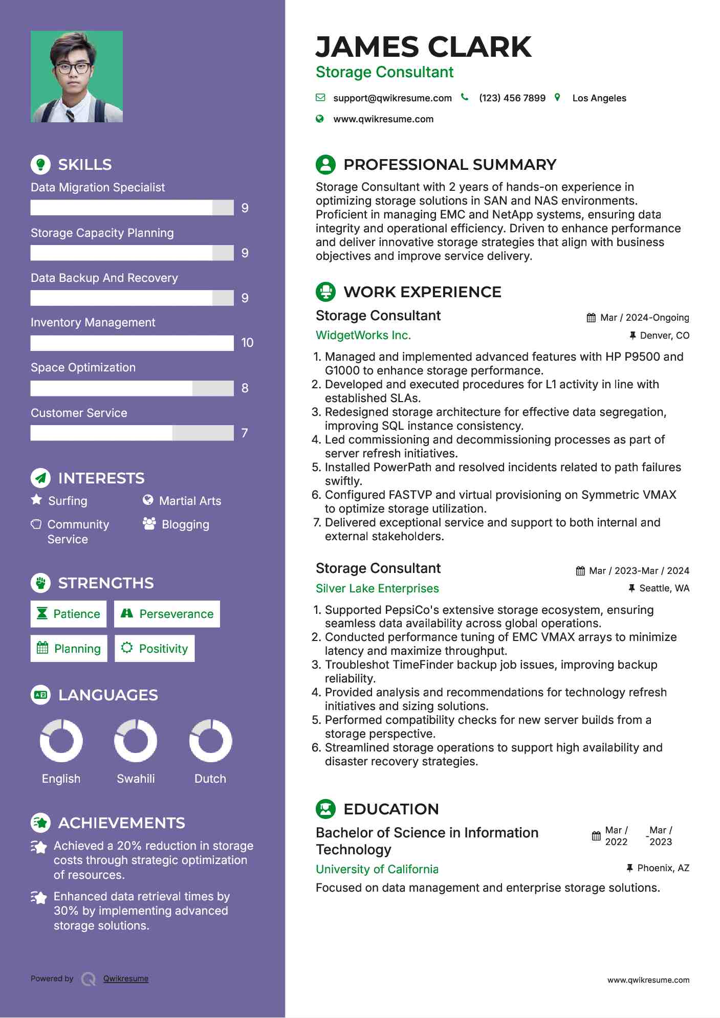 Storage Consultant Resume Template