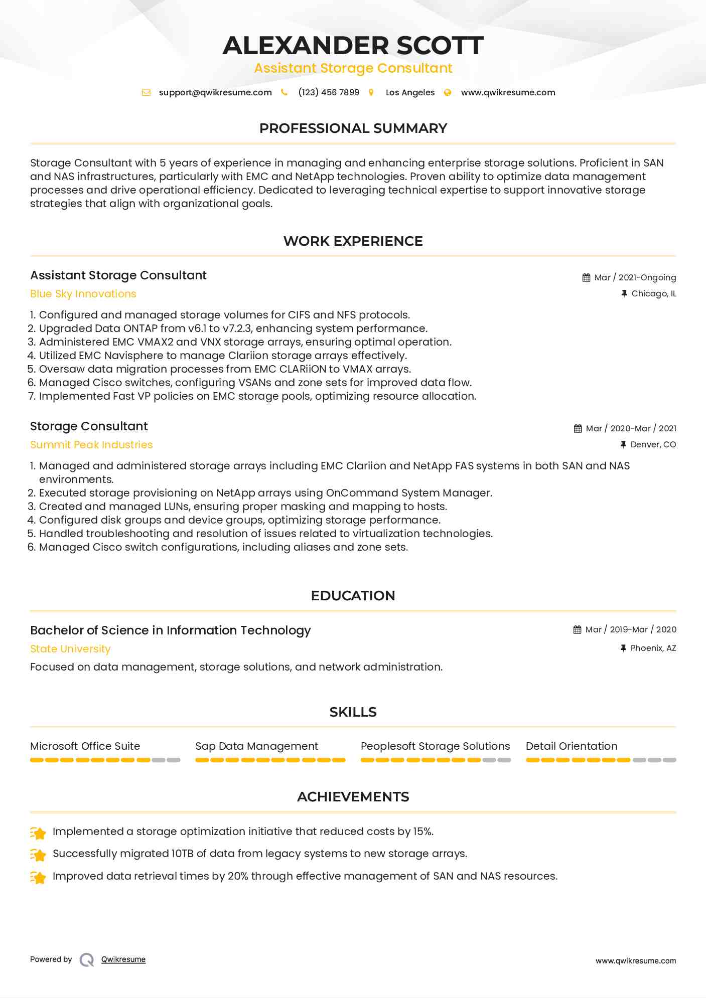 Assistant Storage Consultant Resume Example
