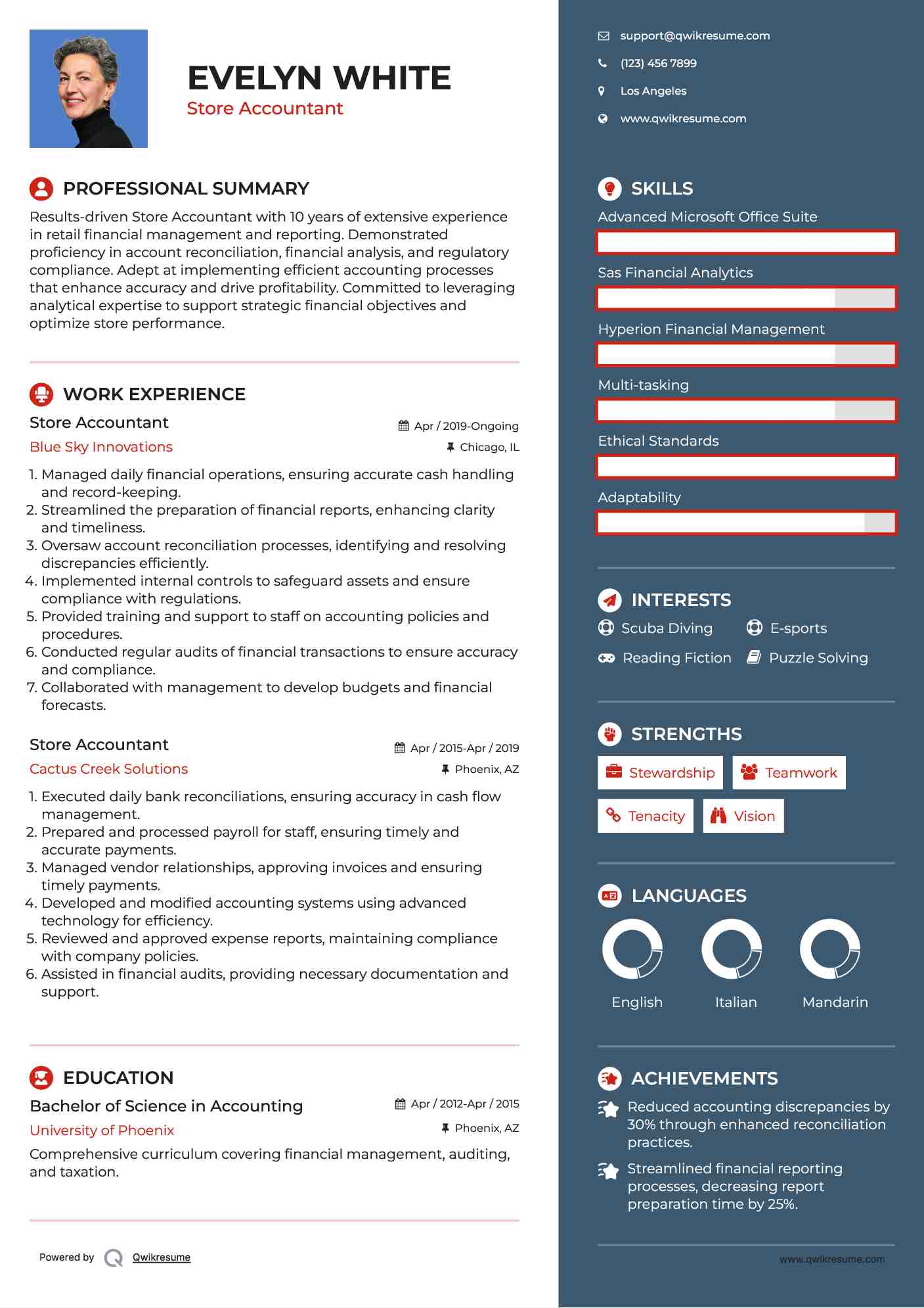 Store Accountant Resume Model