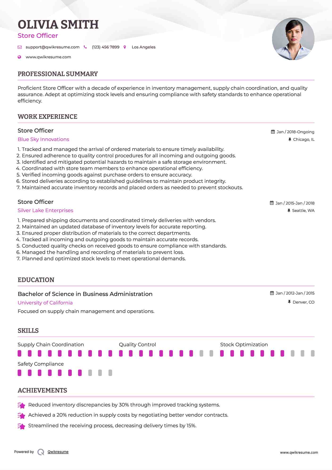 Store Officer Resume Example