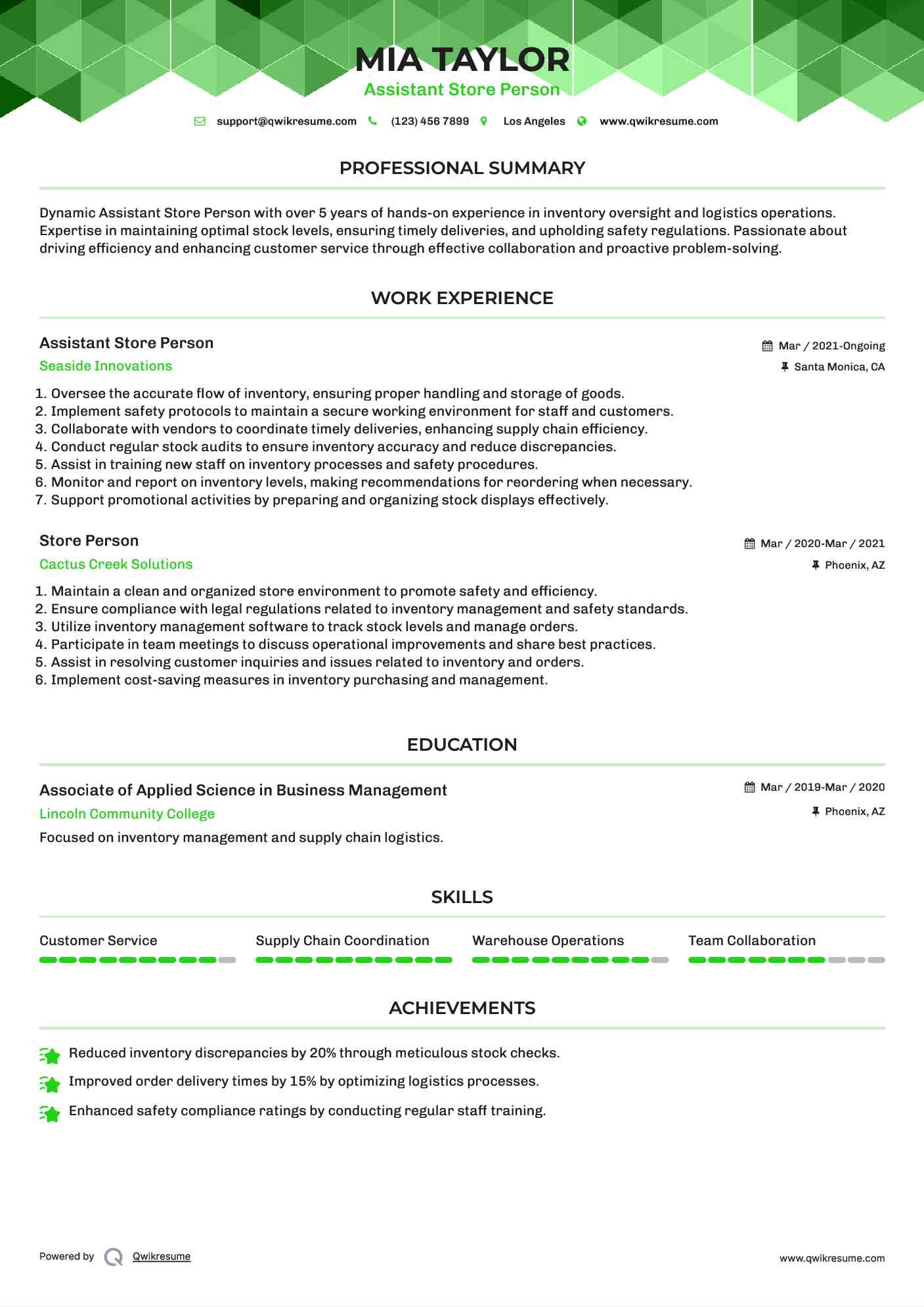 Assistant Store Person Resume Example