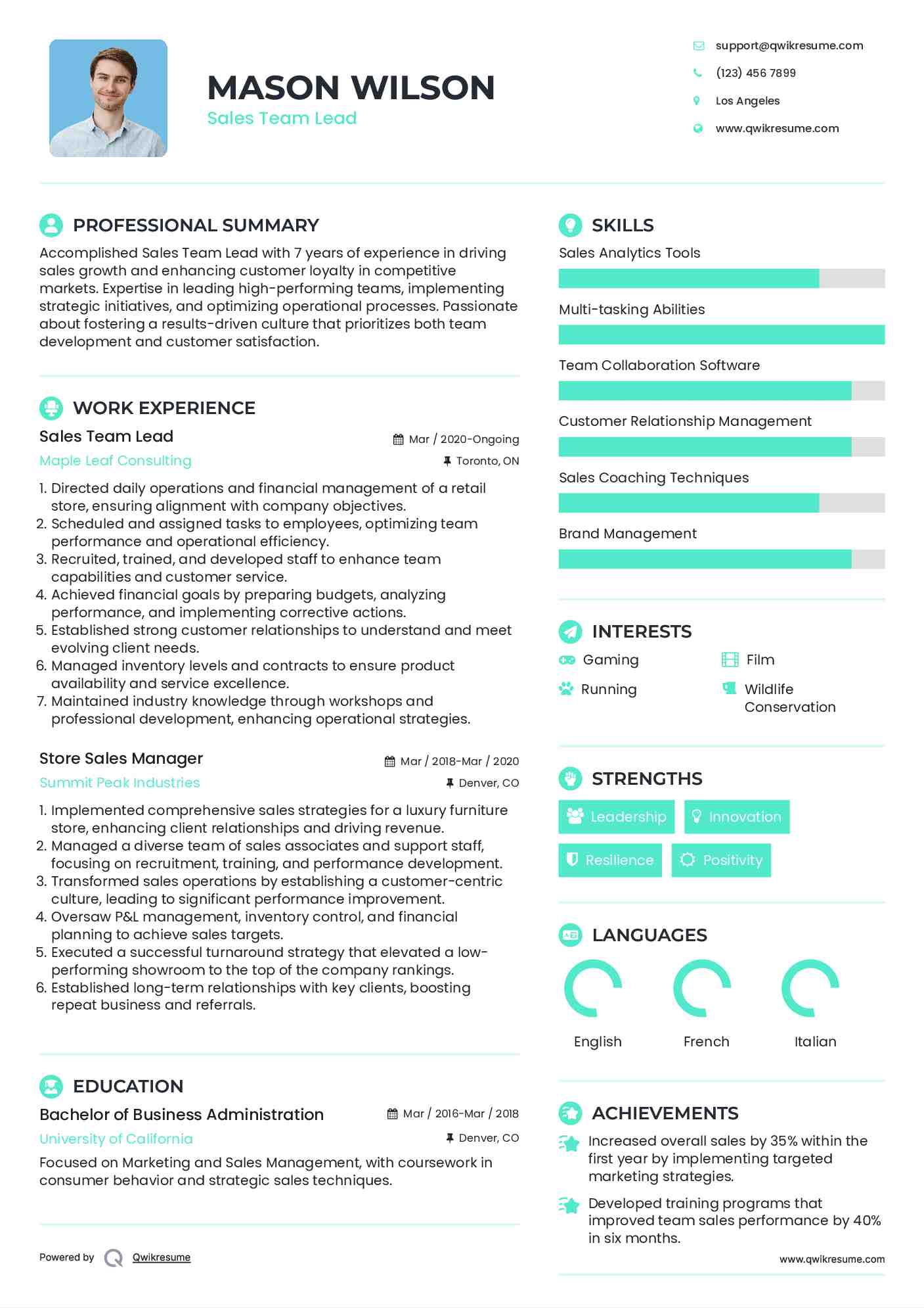 Sales Team Lead Resume Example