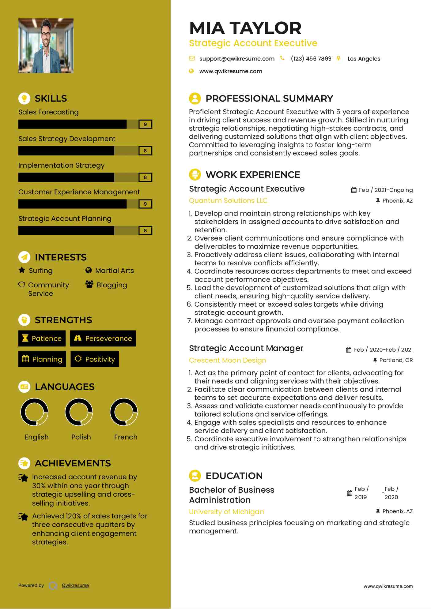 Strategic Account Executive Resume Format
