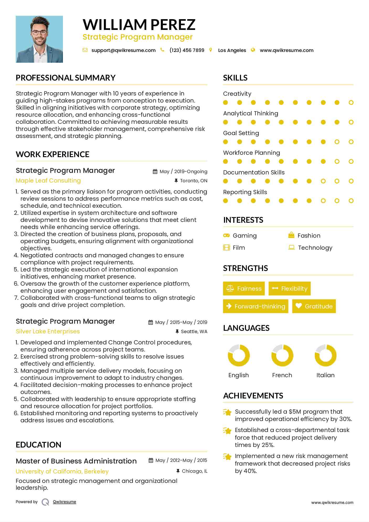 Strategic Program Manager Resume Sample