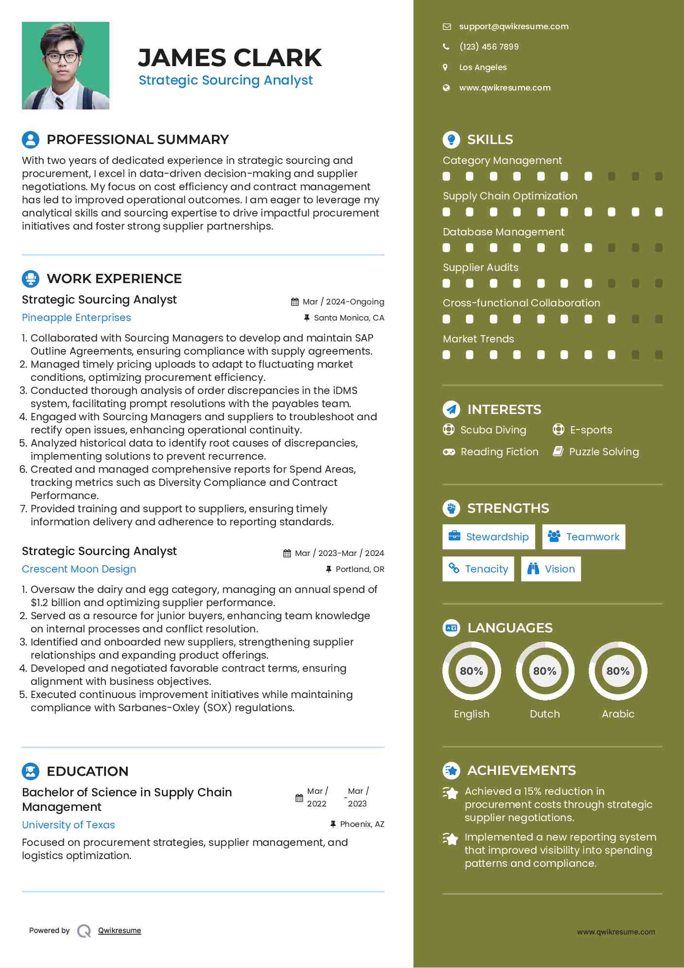 Strategic Sourcing Analyst Resume Template