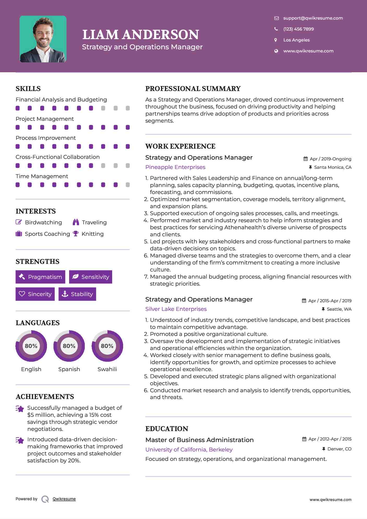 Strategy and Operations Manager Resume Format