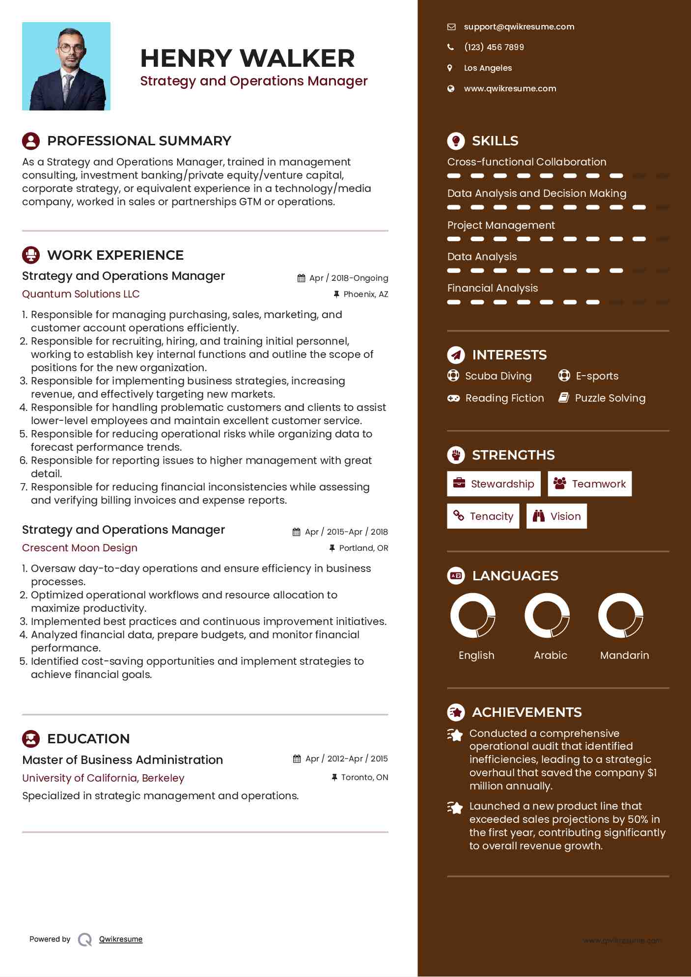 Strategy and Operations Manager Resume Model