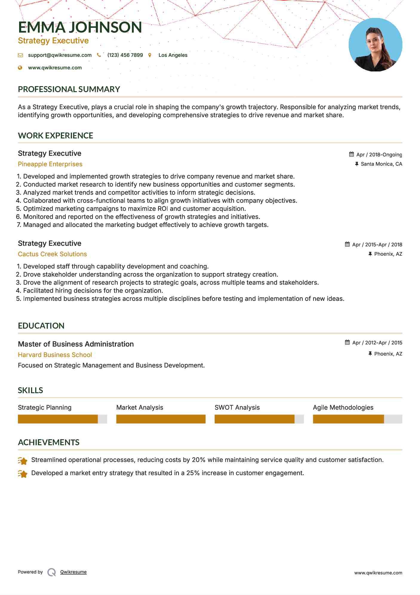 Strategy Executive Resume Sample
