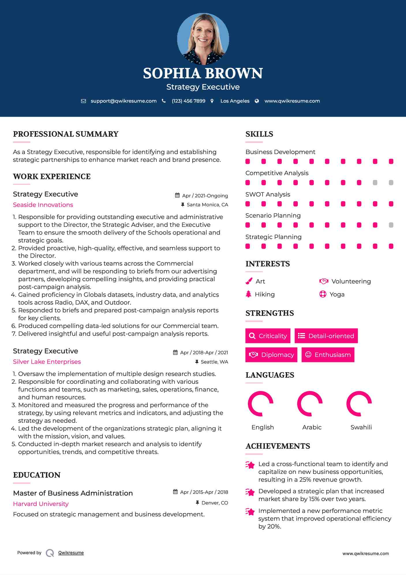 Strategy Executive Resume Model