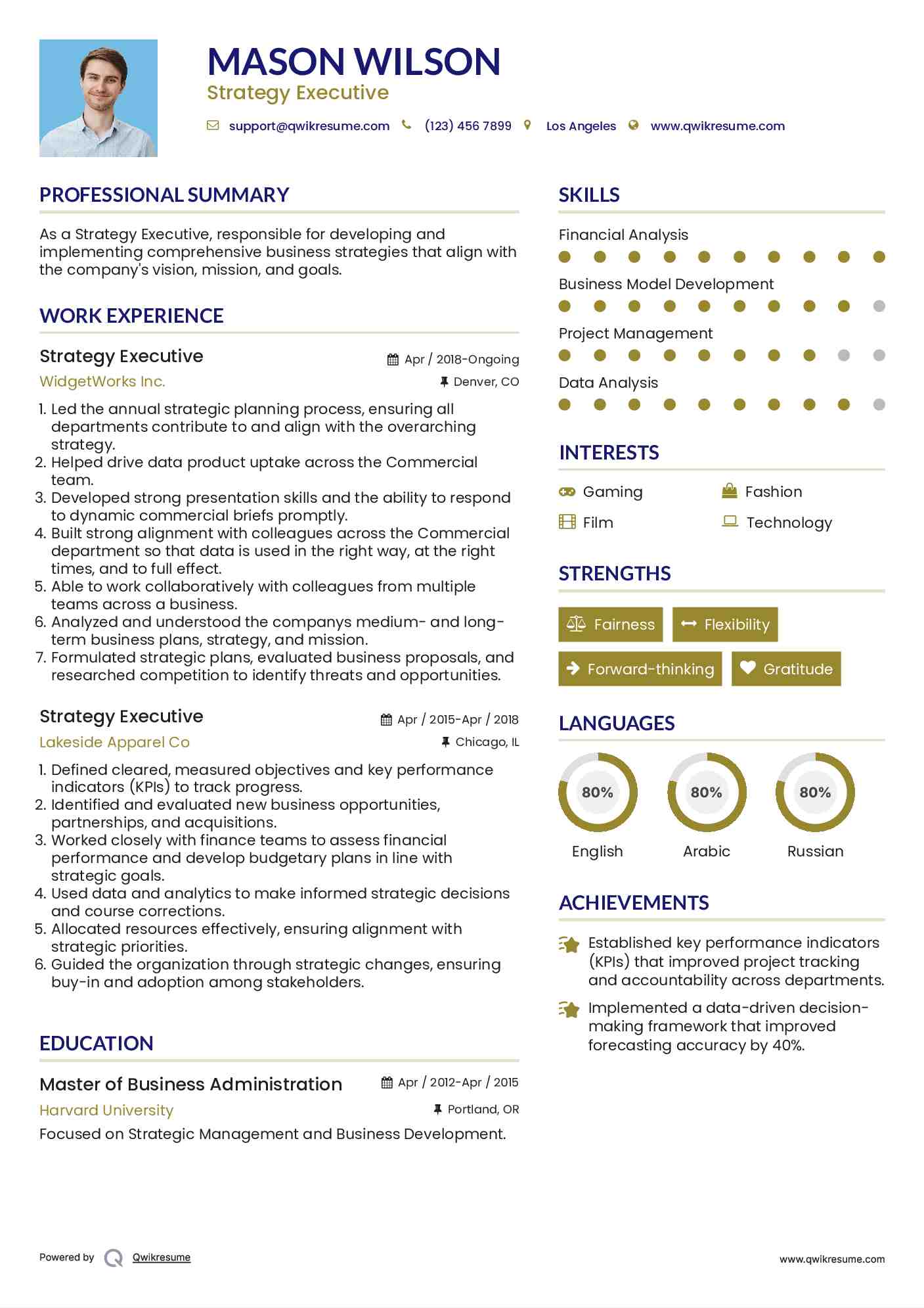 Strategy Executive Resume Format