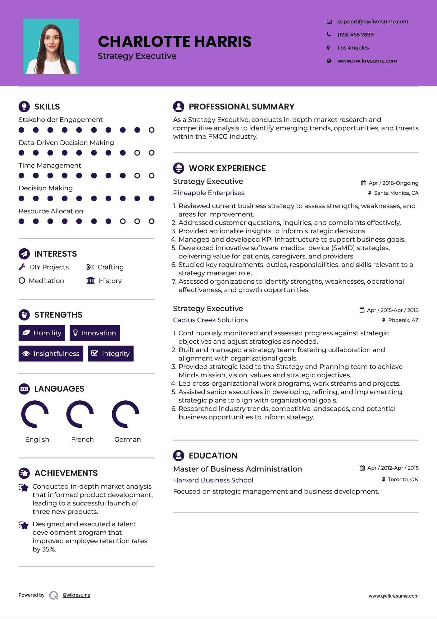 Strategy Executive Resume Model