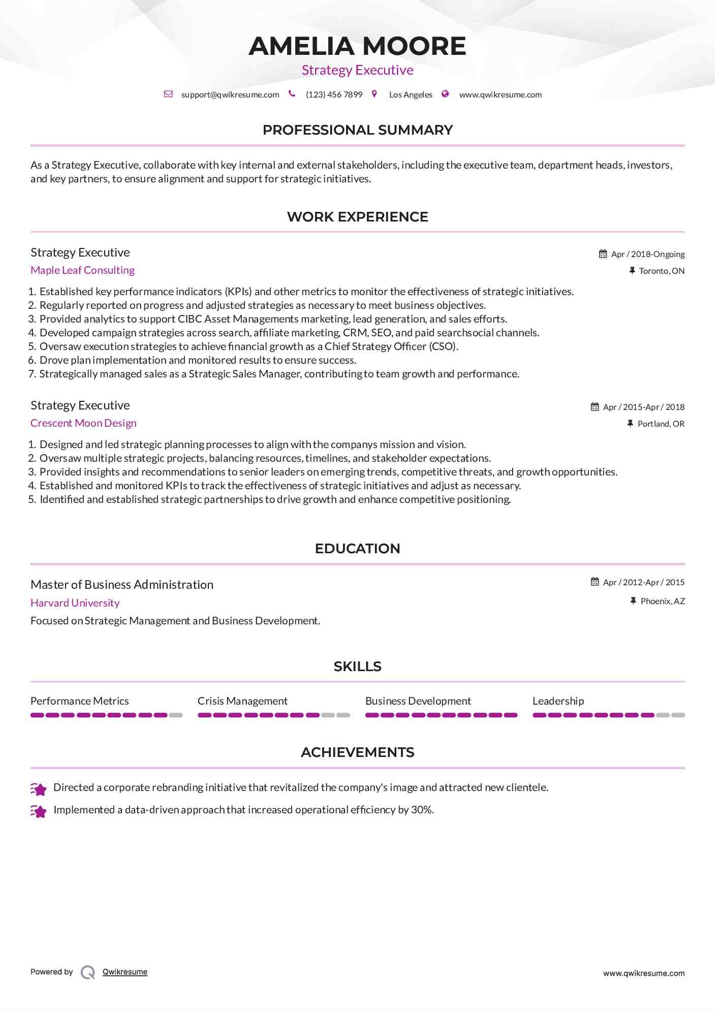 Strategy Executive Resume Format