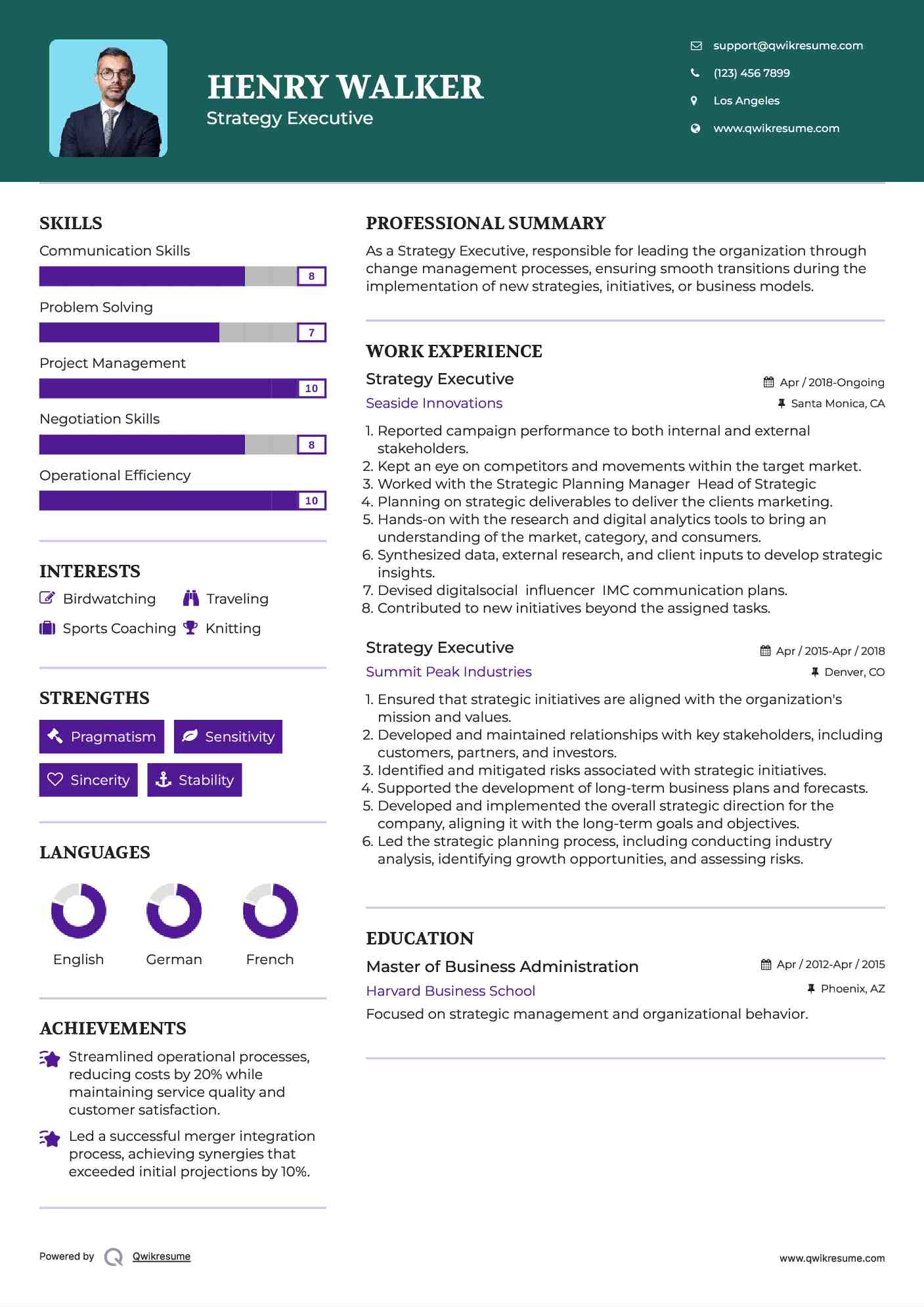 Strategy Executive Resume Sample