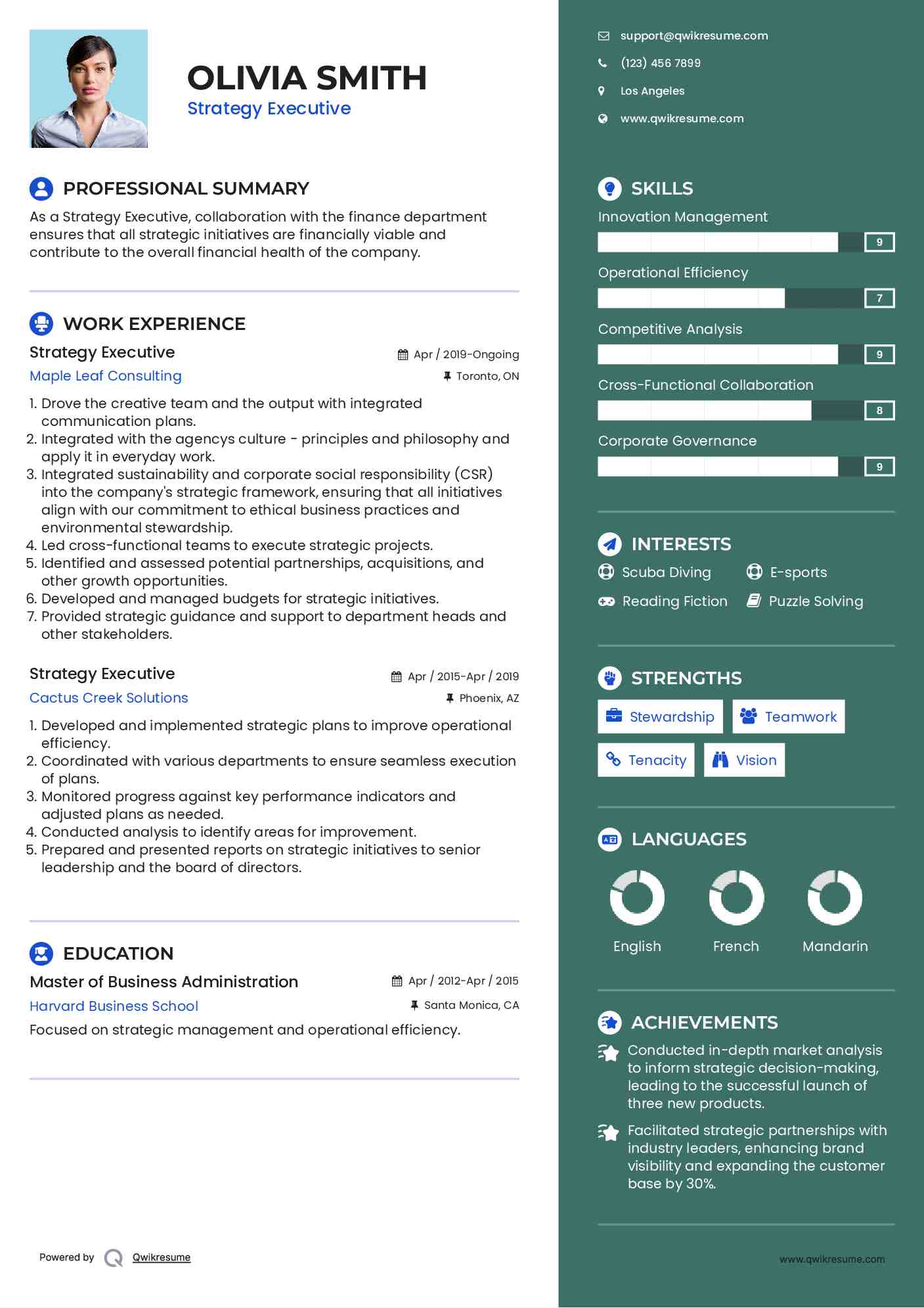 Strategy Executive Resume Template