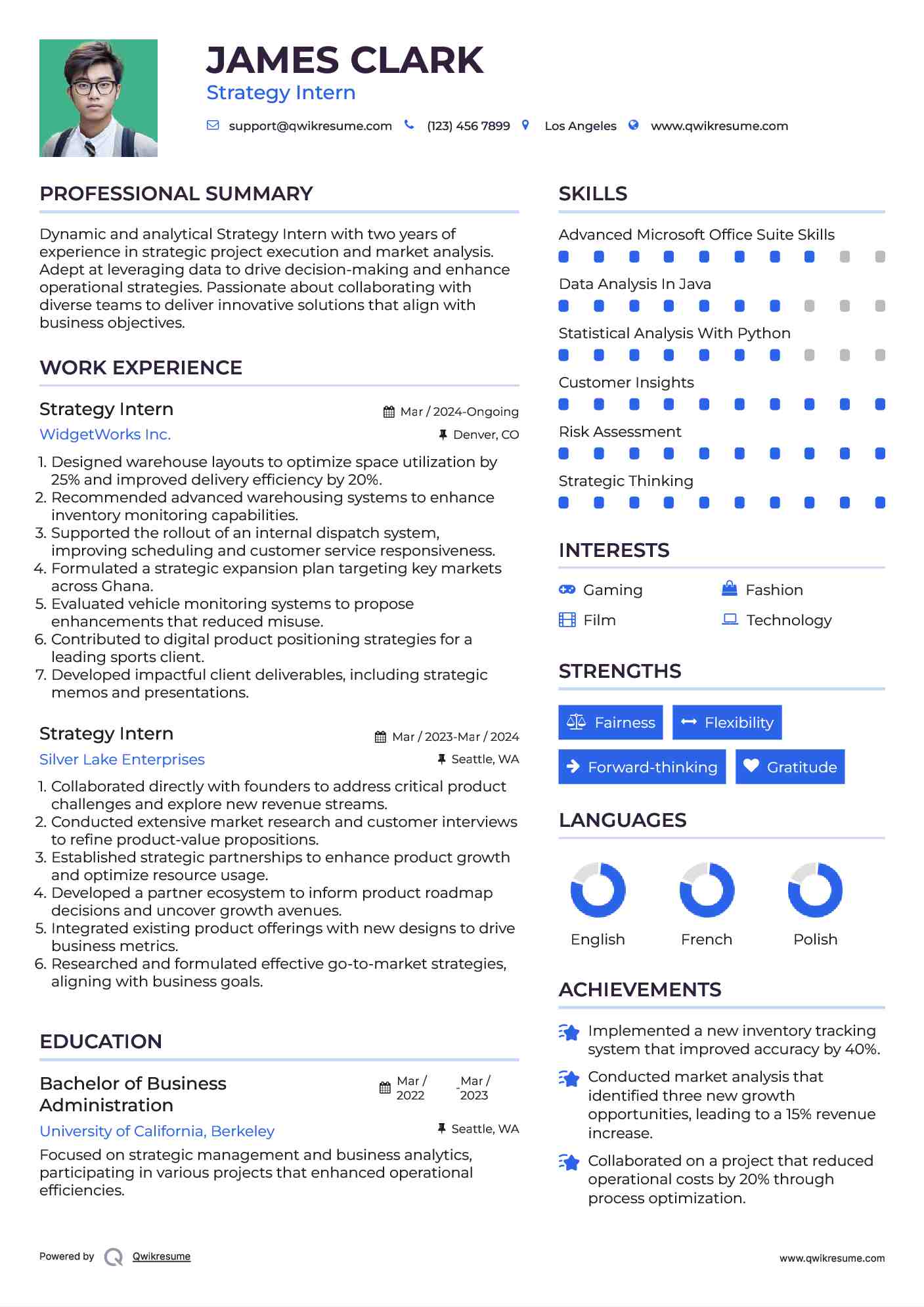 Strategy Intern Resume Model