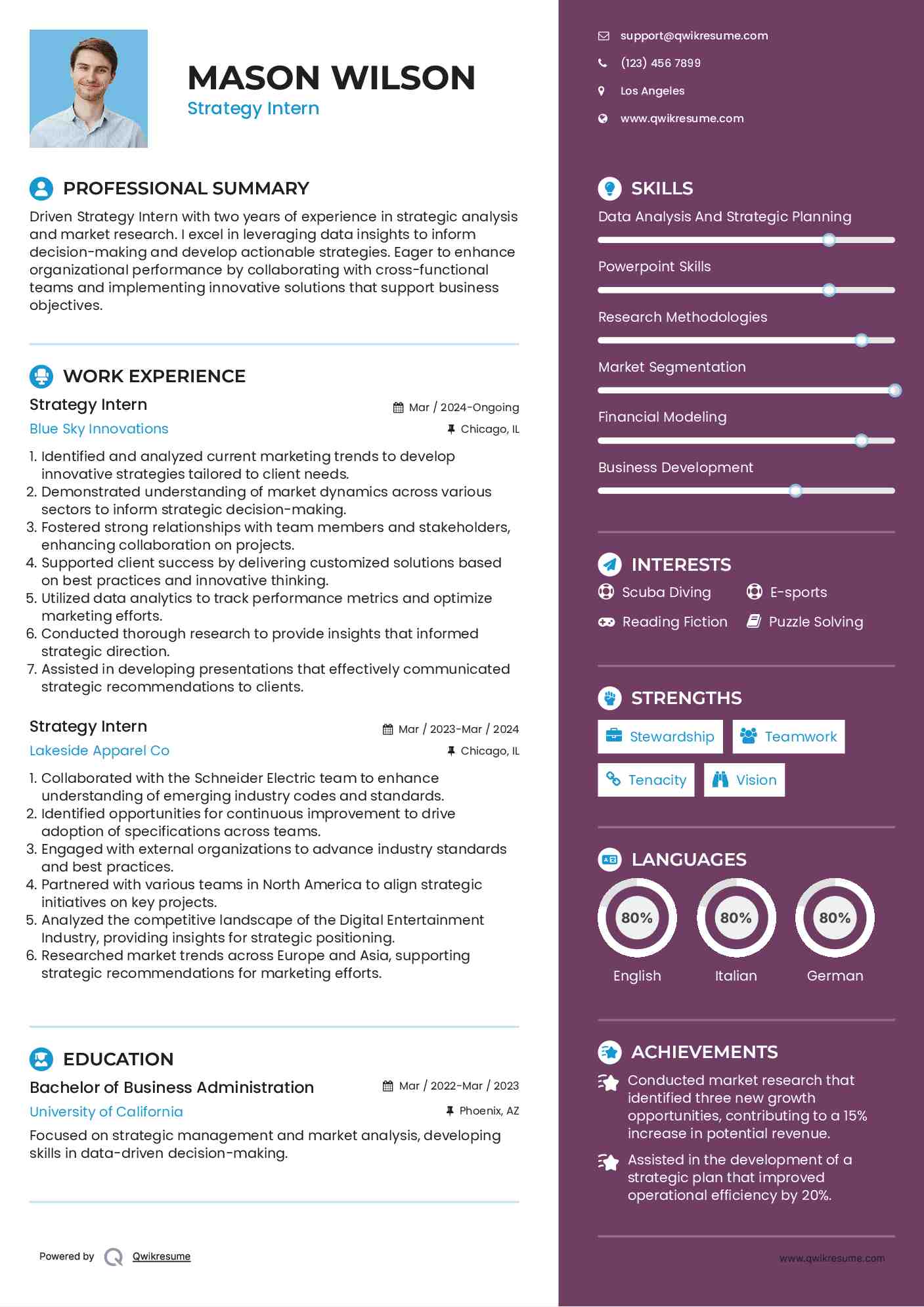 Strategy Intern Resume Template