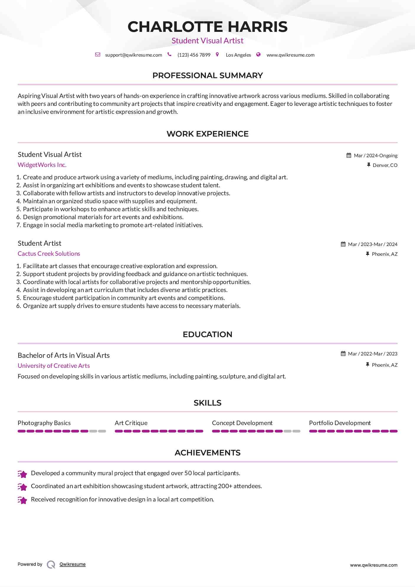 Student Visual Artist Resume Model