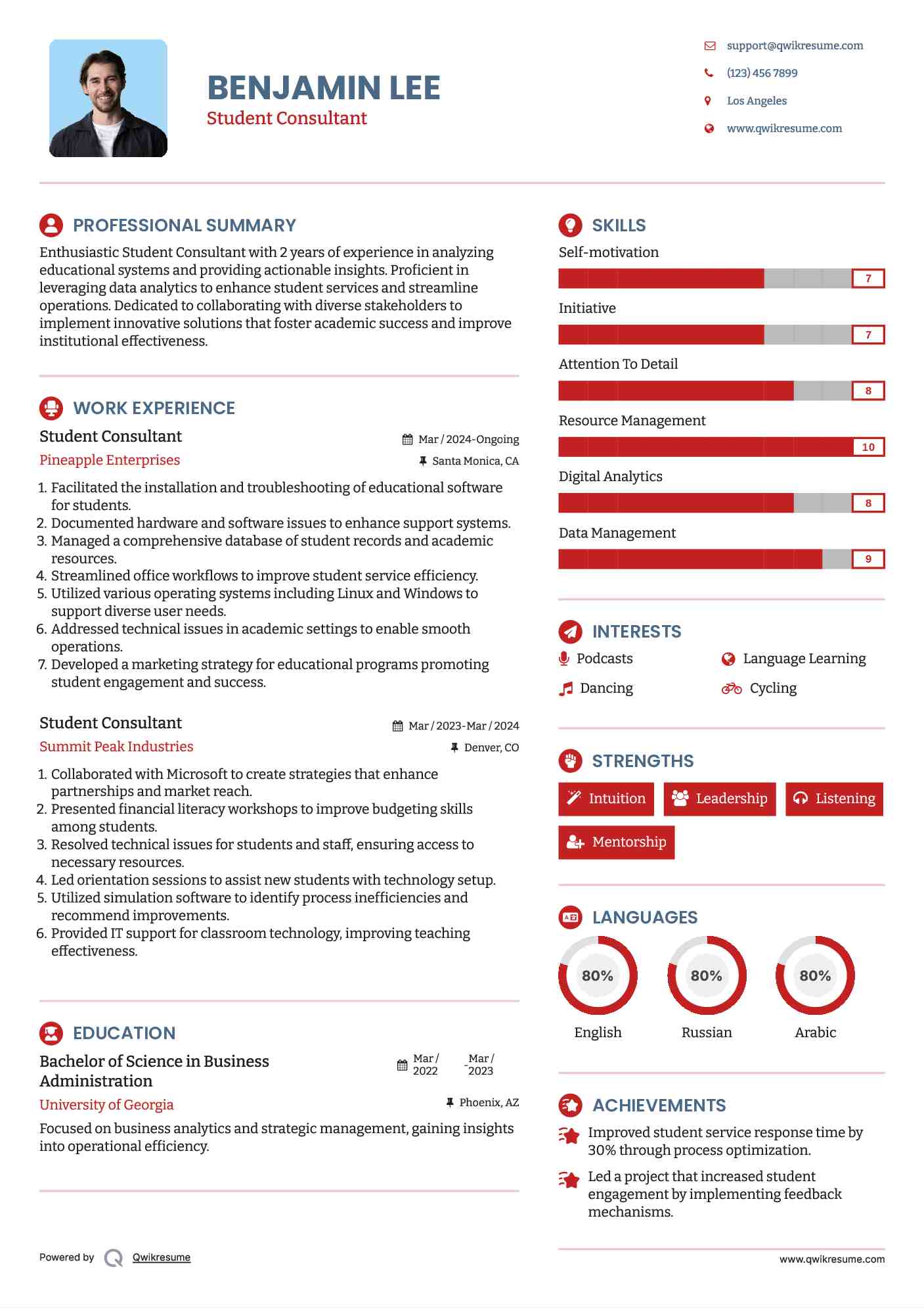 Student Consultant Resume Example