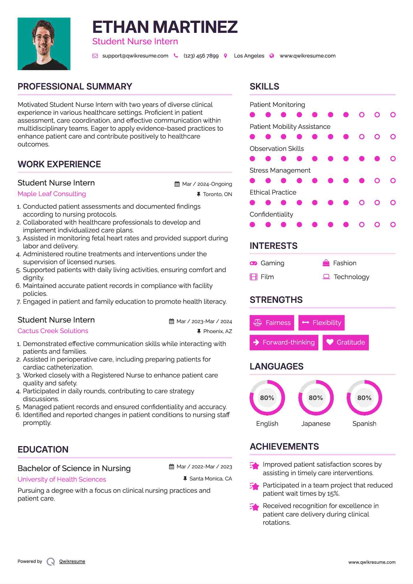 Student Nurse Intern Resume Model