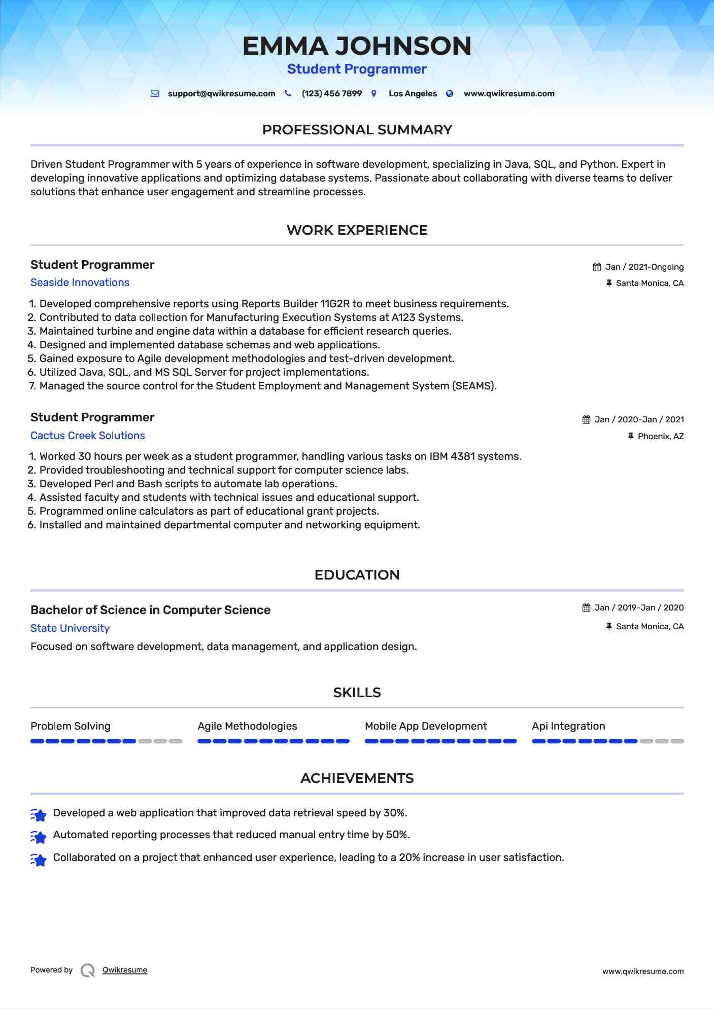 Student Programmer Resume Format