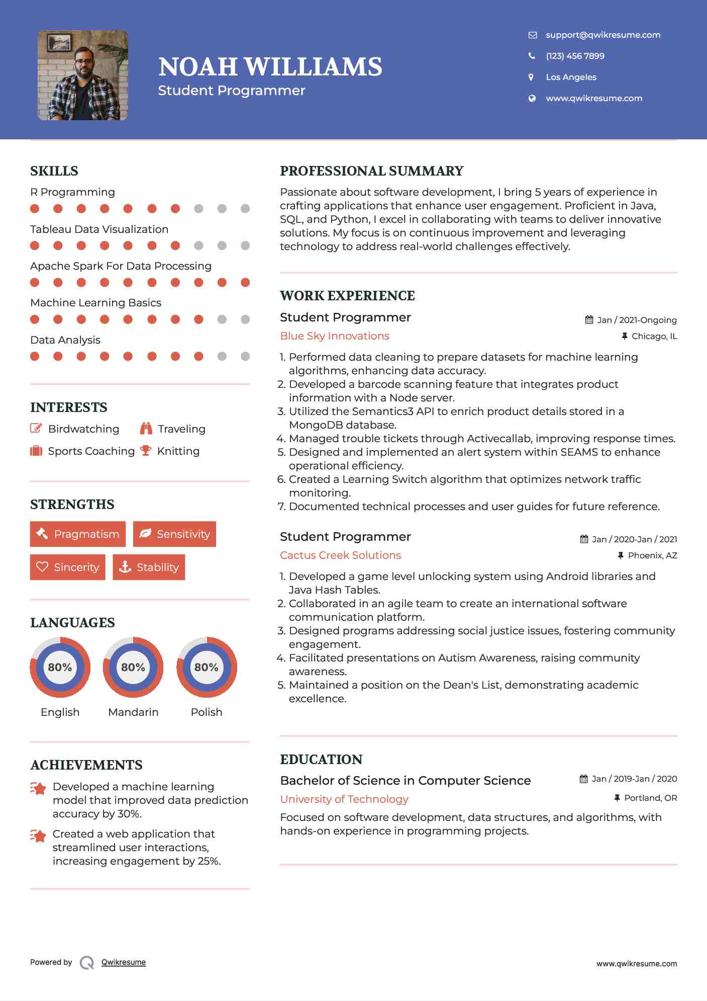 Student Programmer Resume Model