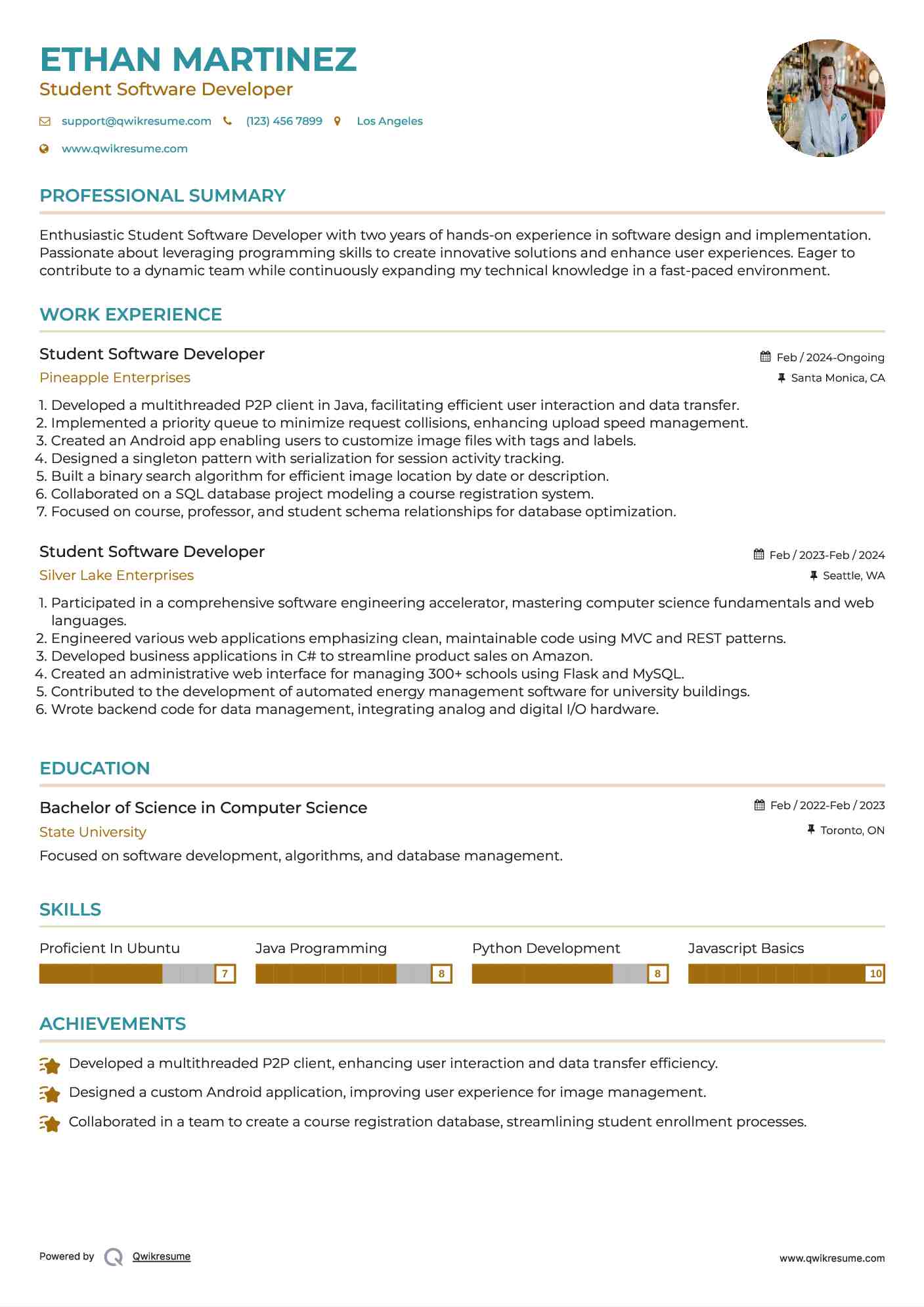 Student Software Developer Resume Model